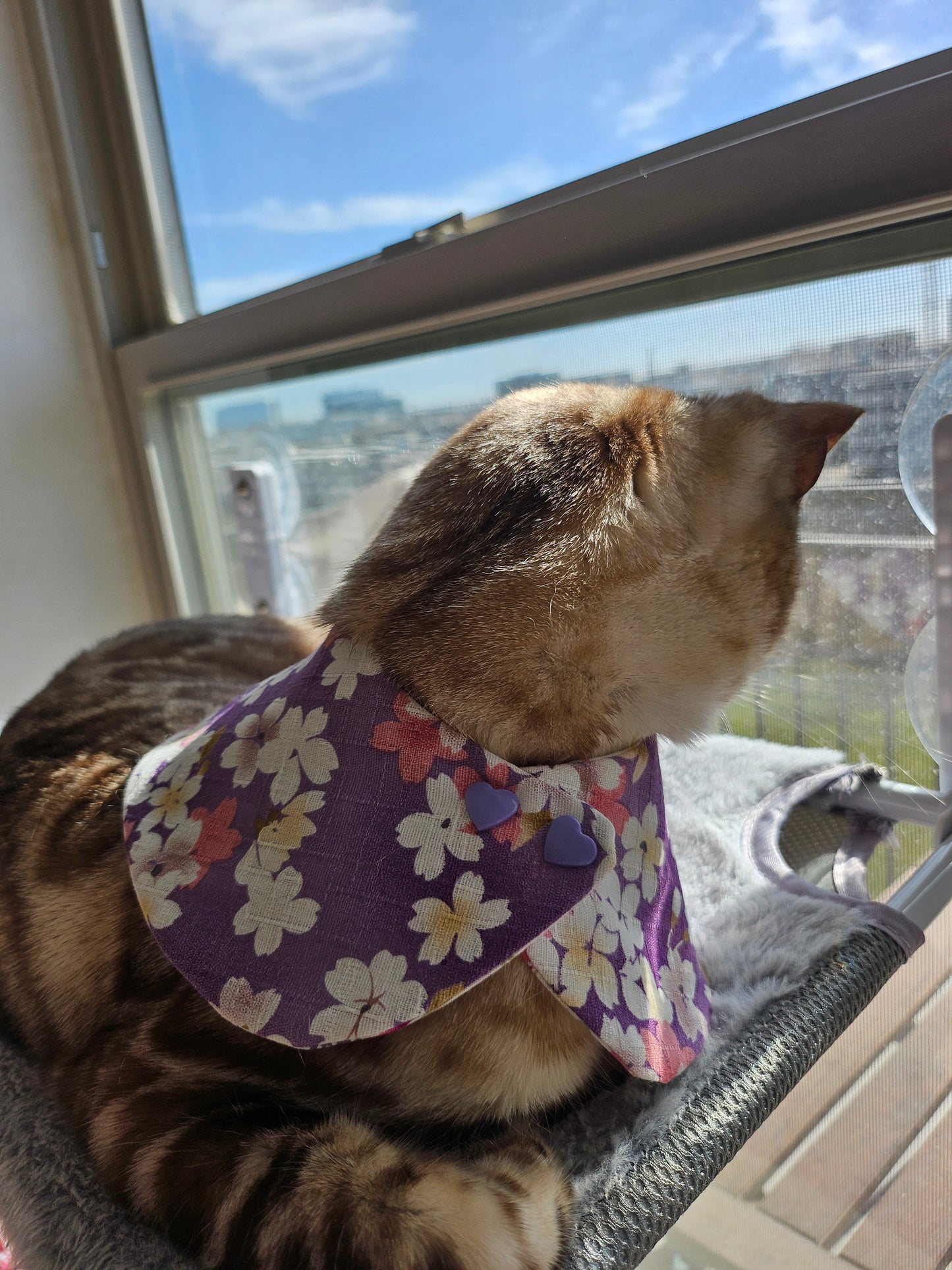 Sakura Pet Bandana (reversible)