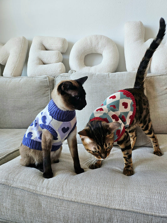 Mon Chérie Pet Sweater