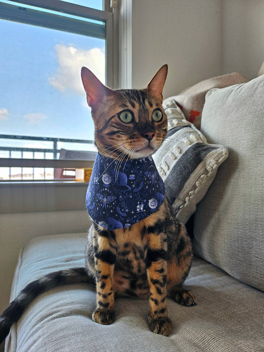 Meowstical Mystic Pet Bandana (2-way wear)