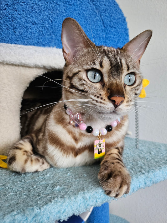 Tarot Card Pet Necklace