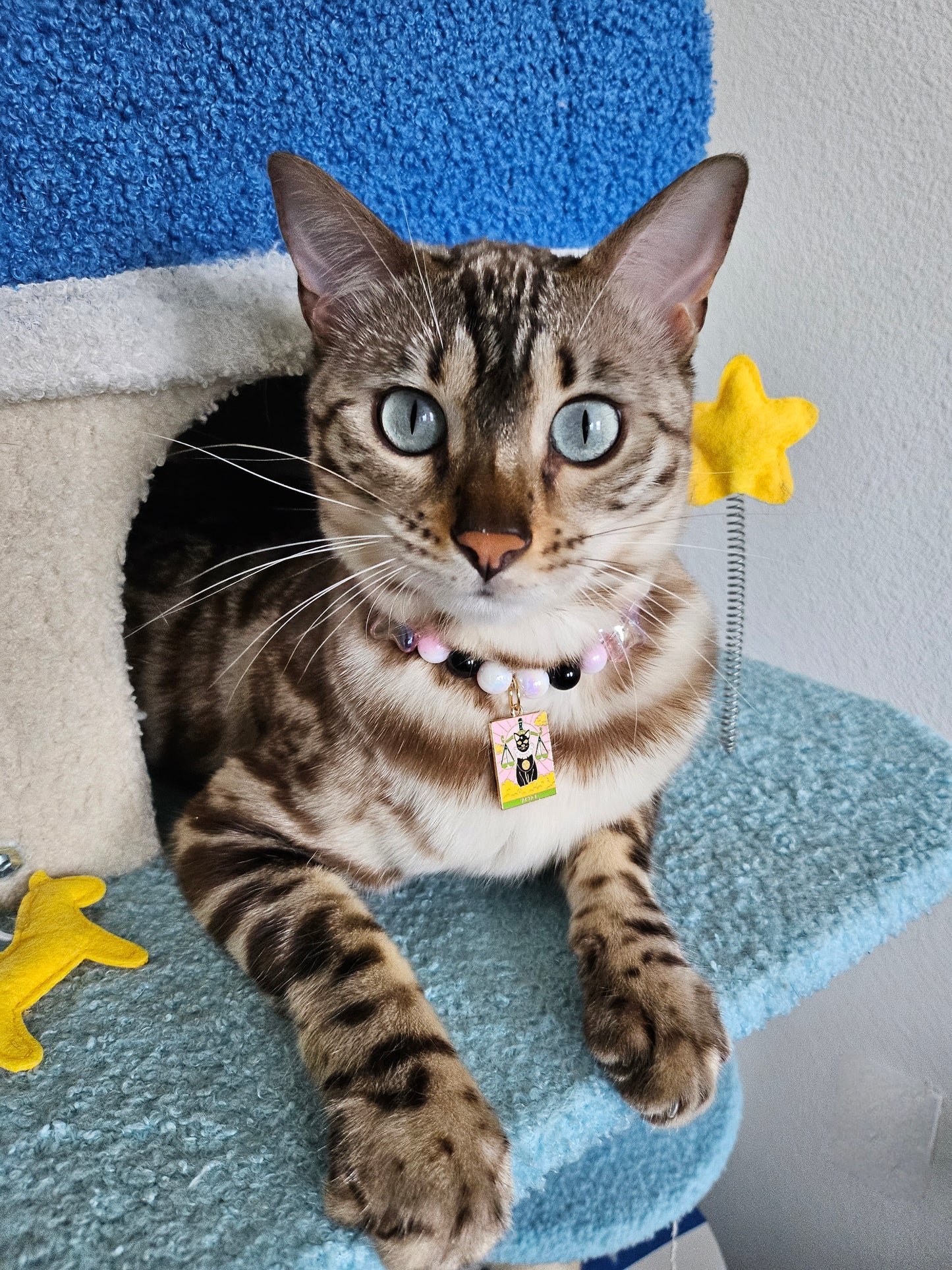Tarot Card Pet Necklace