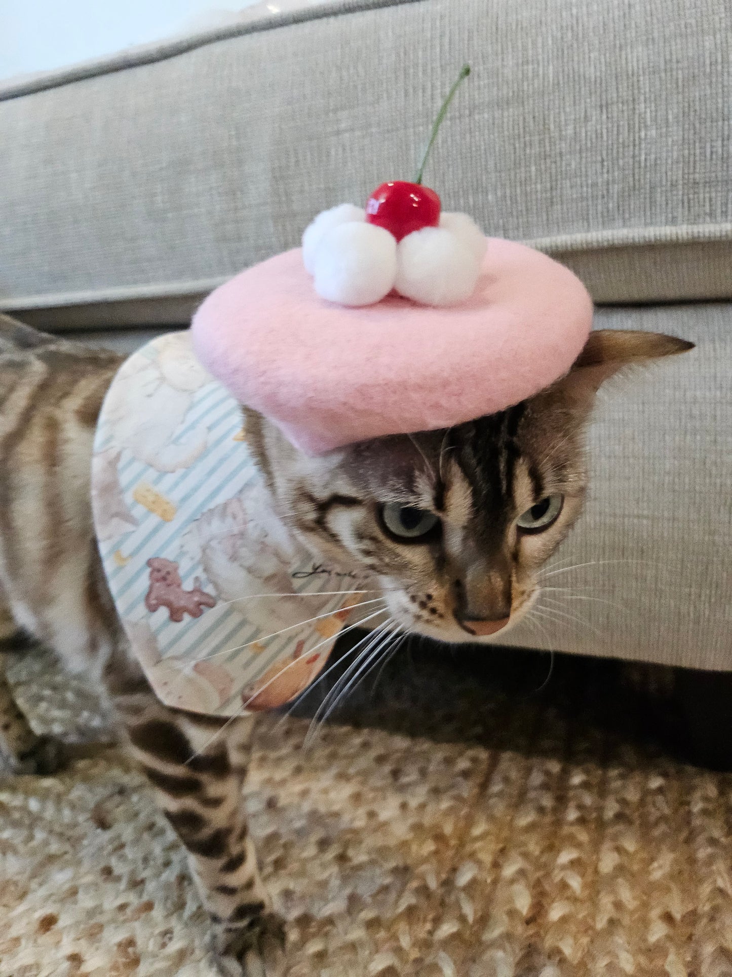 Chou Cherie pet beret