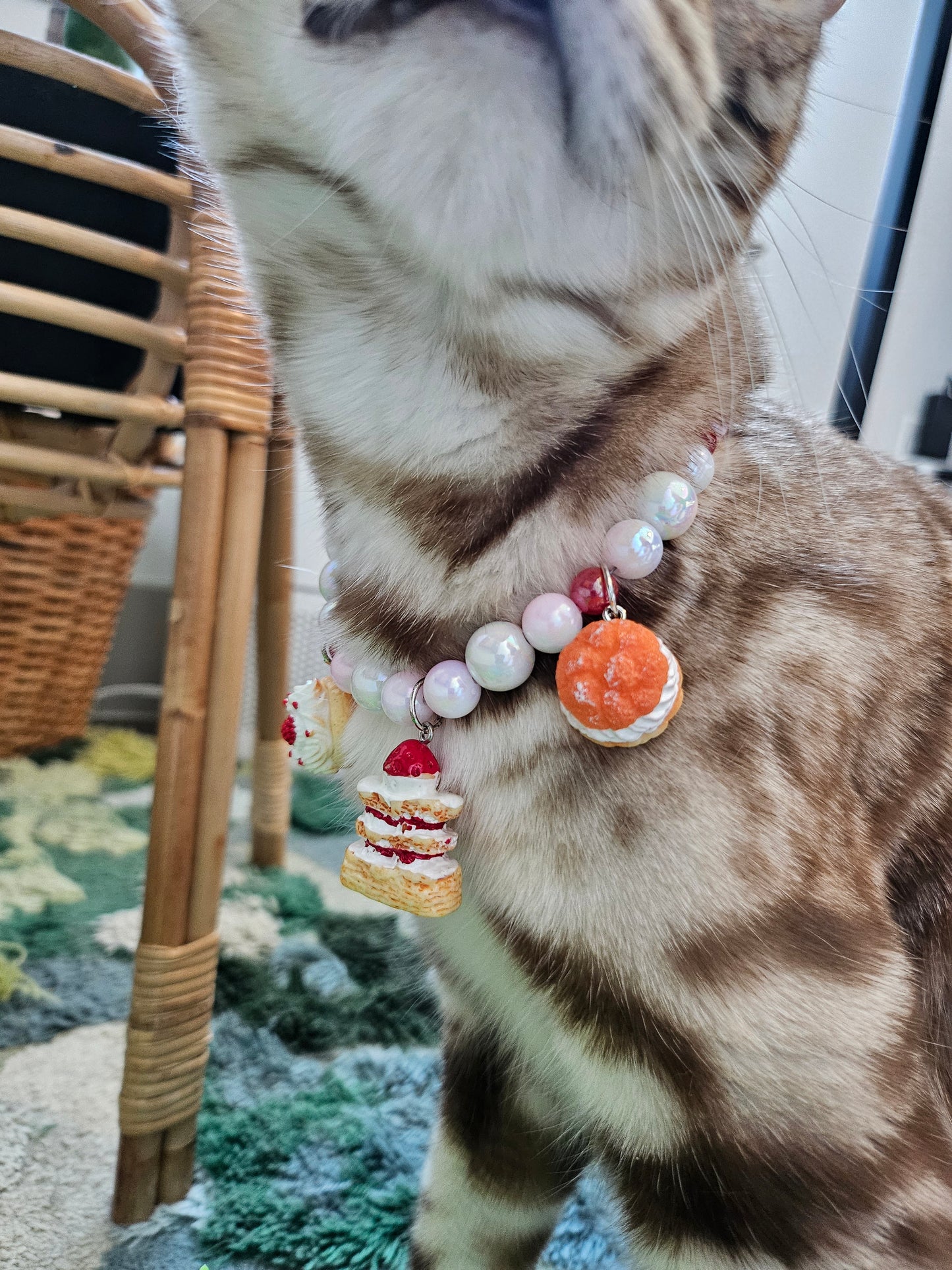 Crème de la crème pet necklace