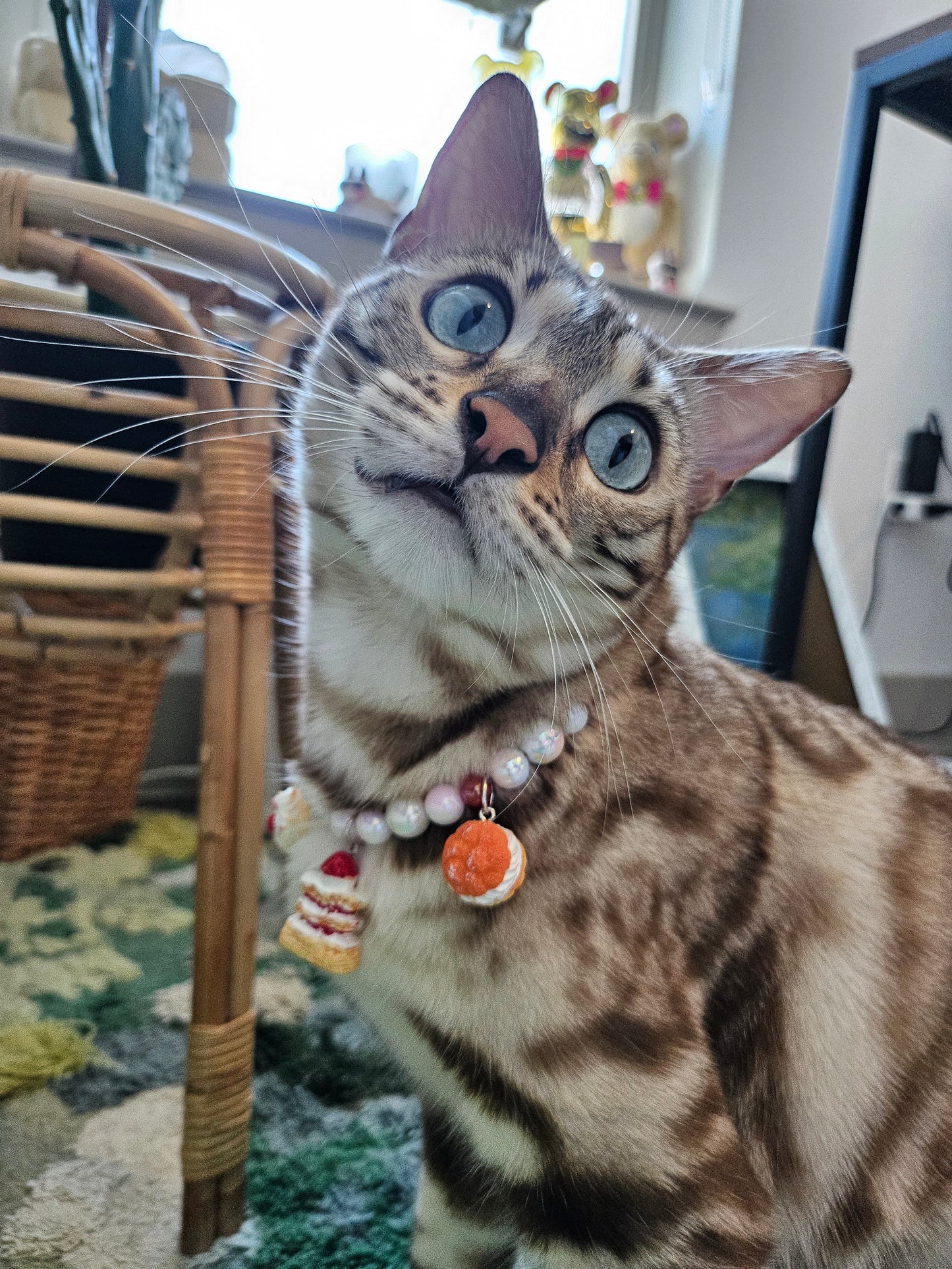 Crème de la crème pet necklace
