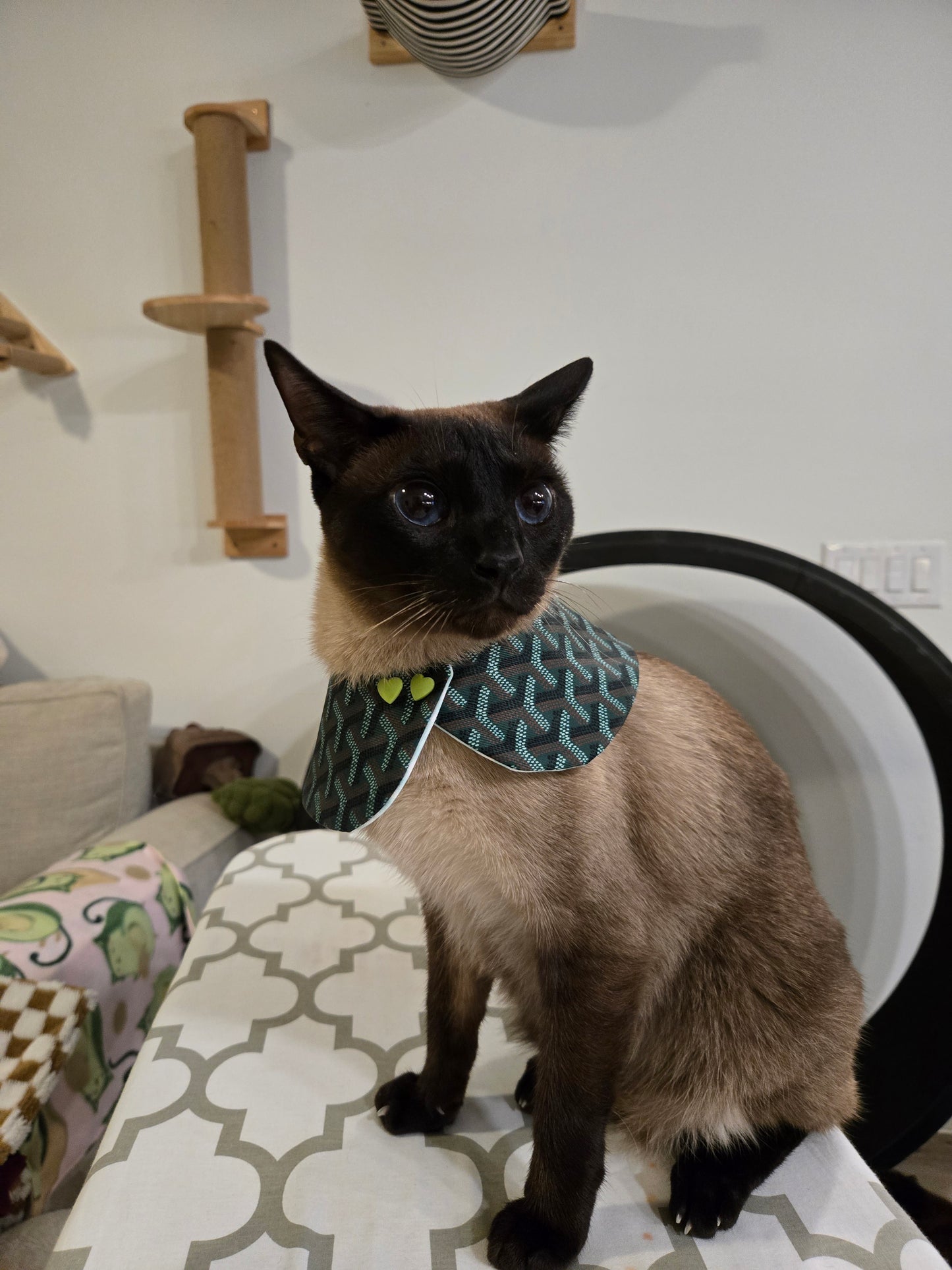 Grrryard Green Pet Bandana (reversible 4-way wear)