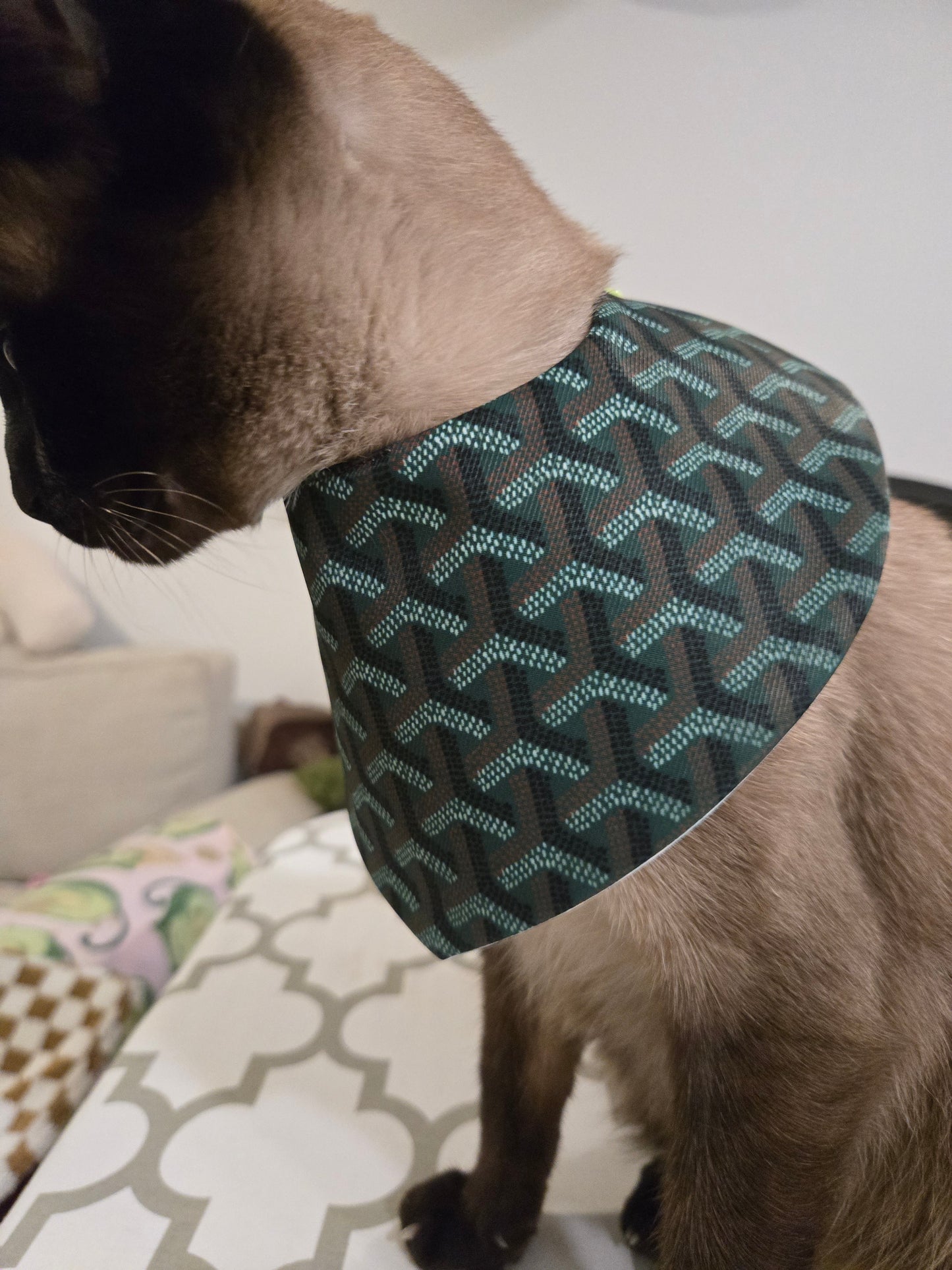 Grrryard Green Pet Bandana (reversible 4-way wear)