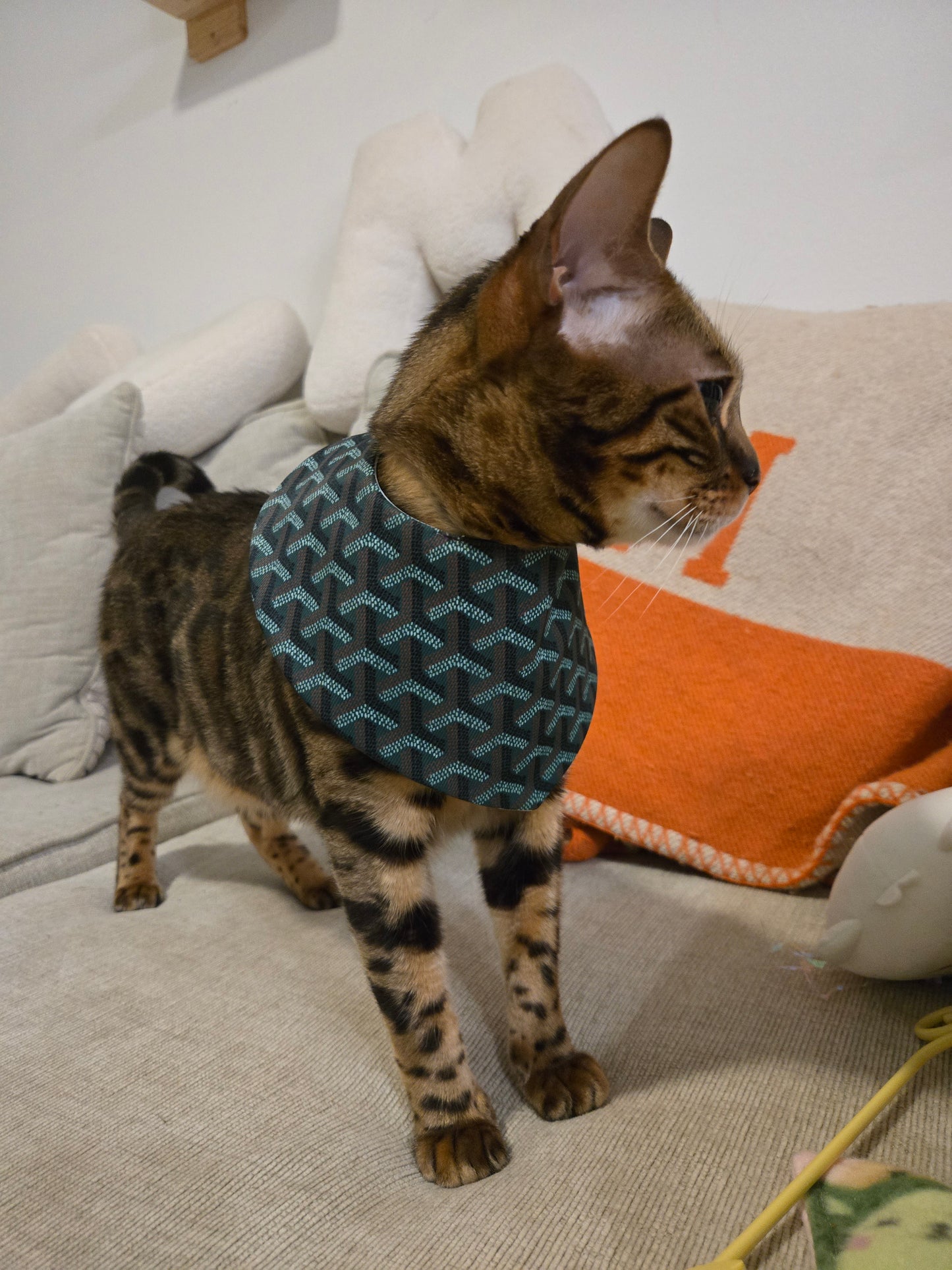 Grrryard Green Pet Bandana (reversible 4-way wear)
