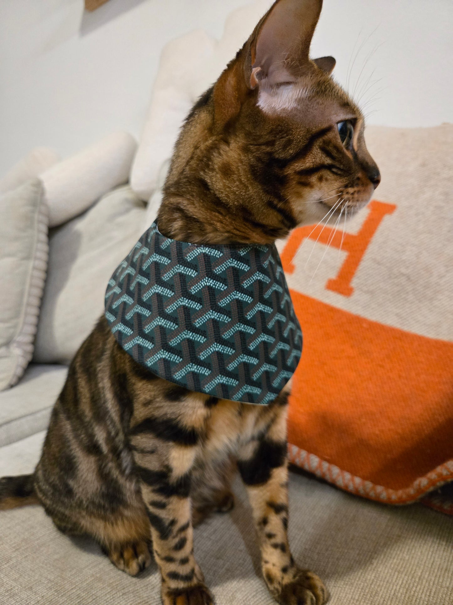 Grrryard Green Pet Bandana (reversible 4-way wear)