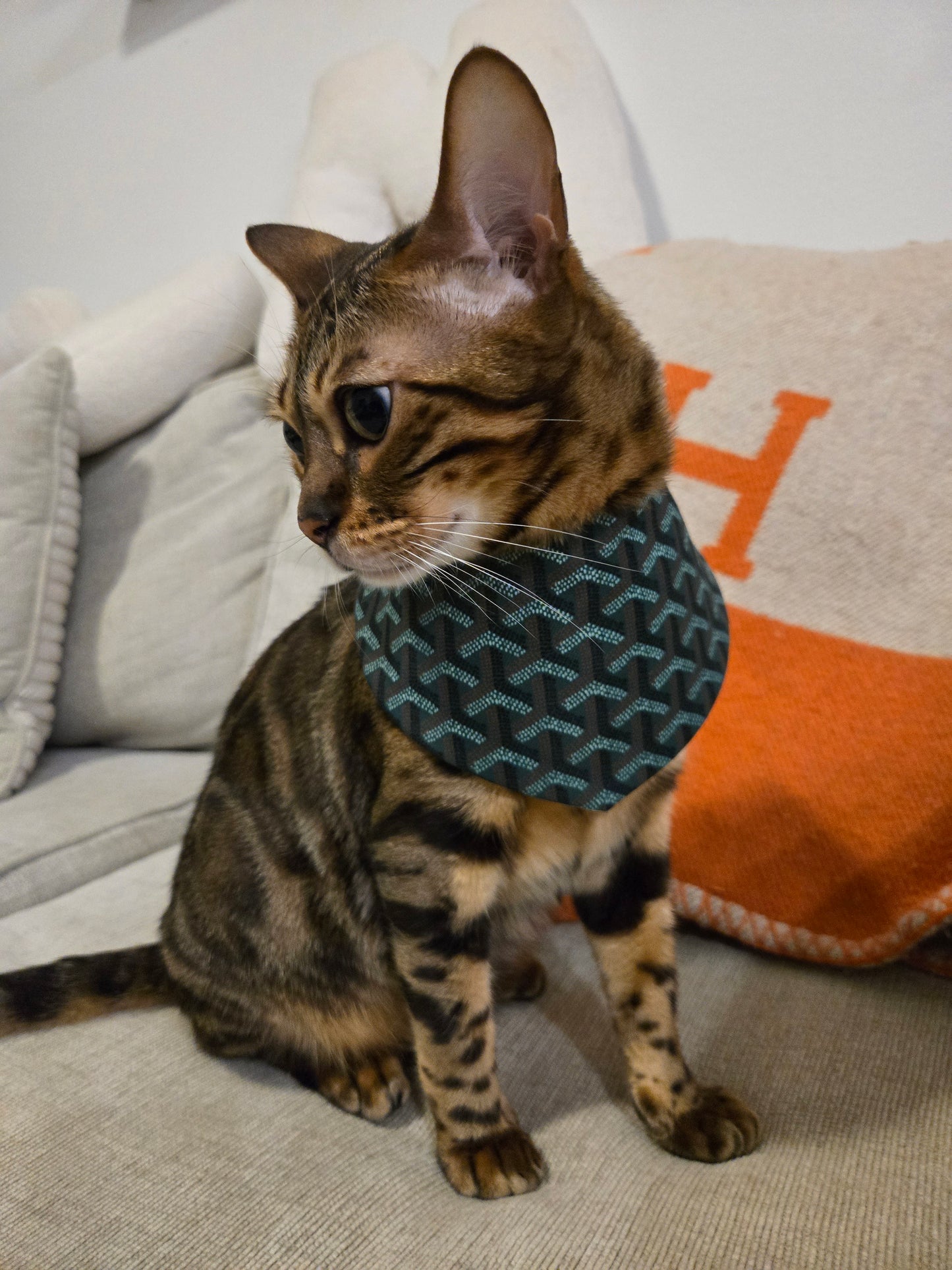 Grrryard Green Pet Bandana (reversible 4-way wear)