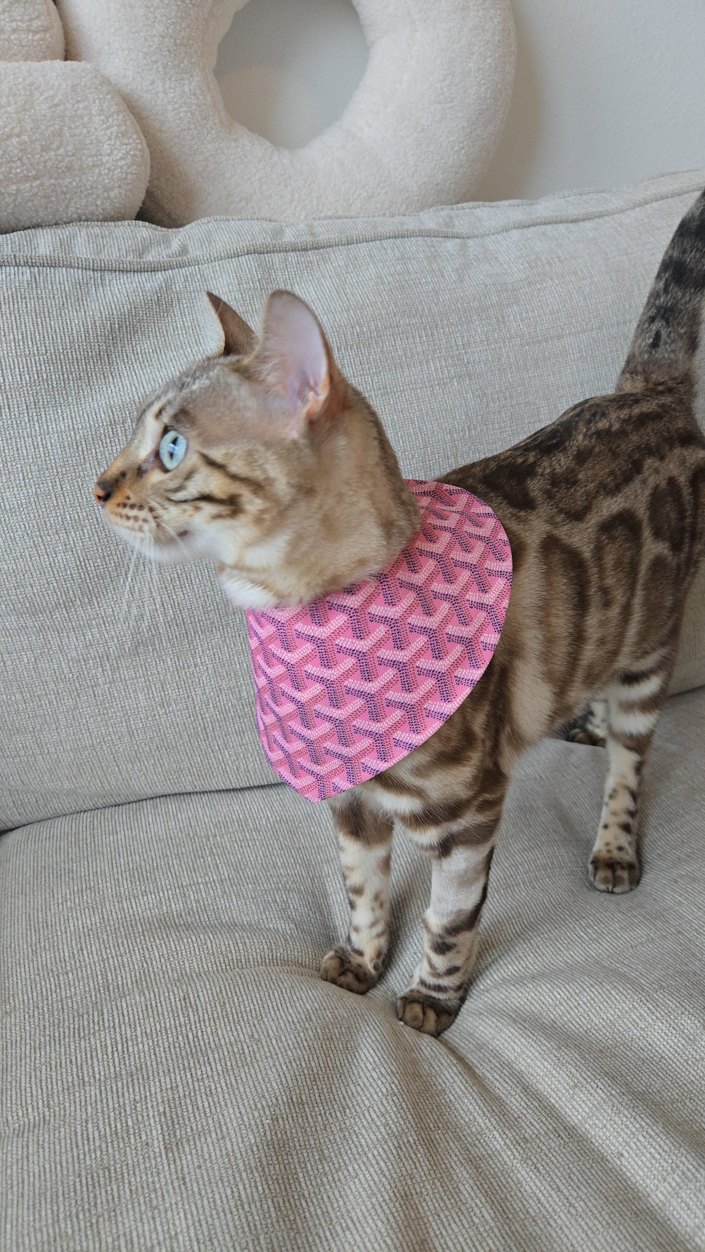 Grrryard Pink Pet Bandana (reversible 4-way wear)