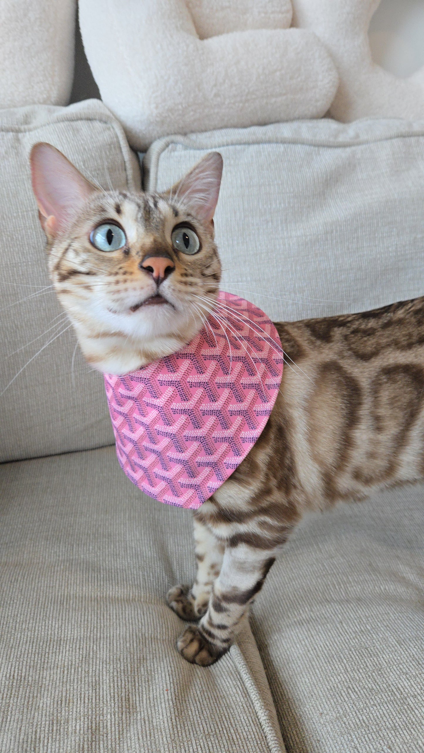 Grrryard Pink Pet Bandana (reversible 4-way wear)