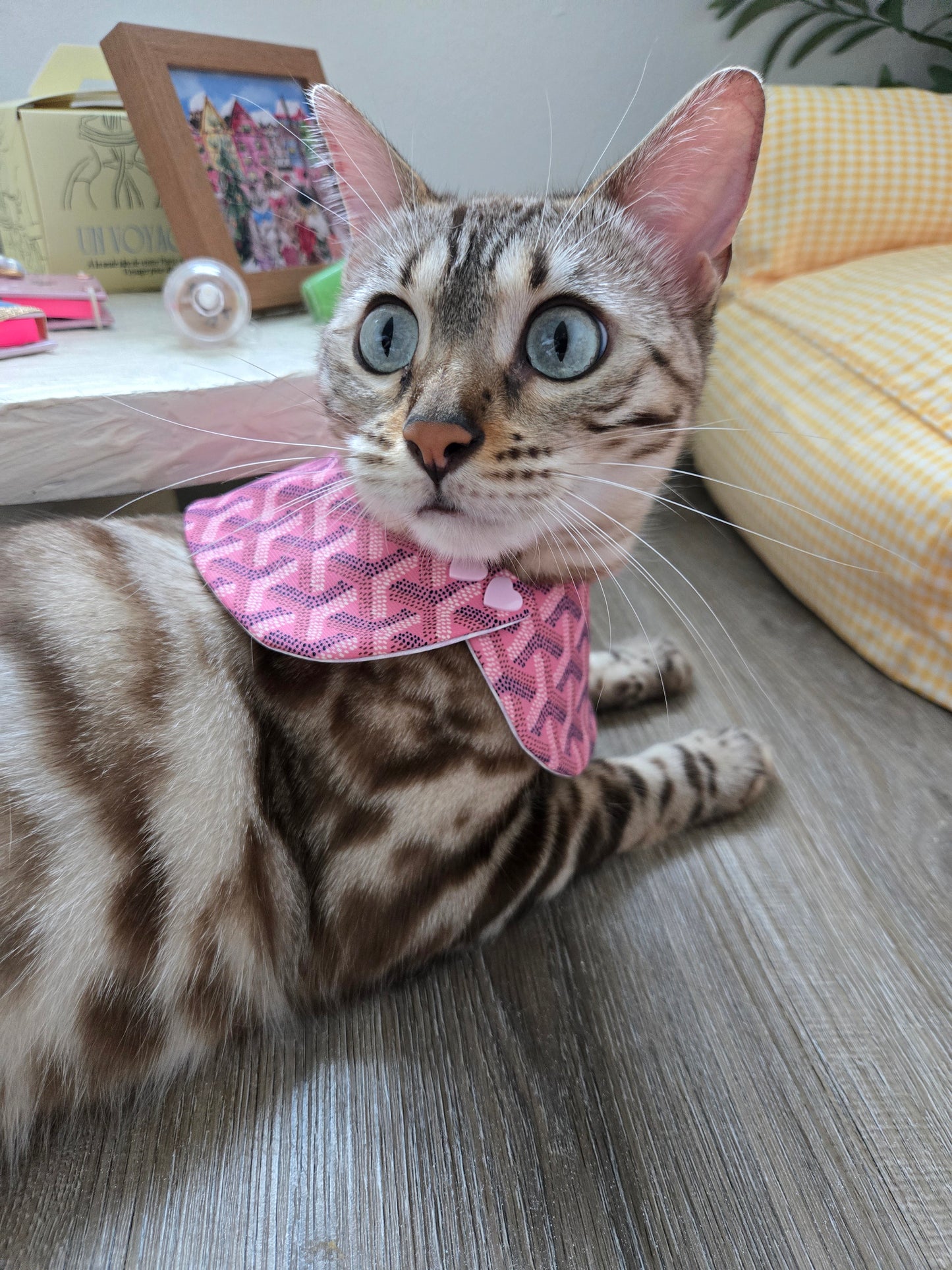 Grrryard Pink Pet Bandana (reversible 4-way wear)