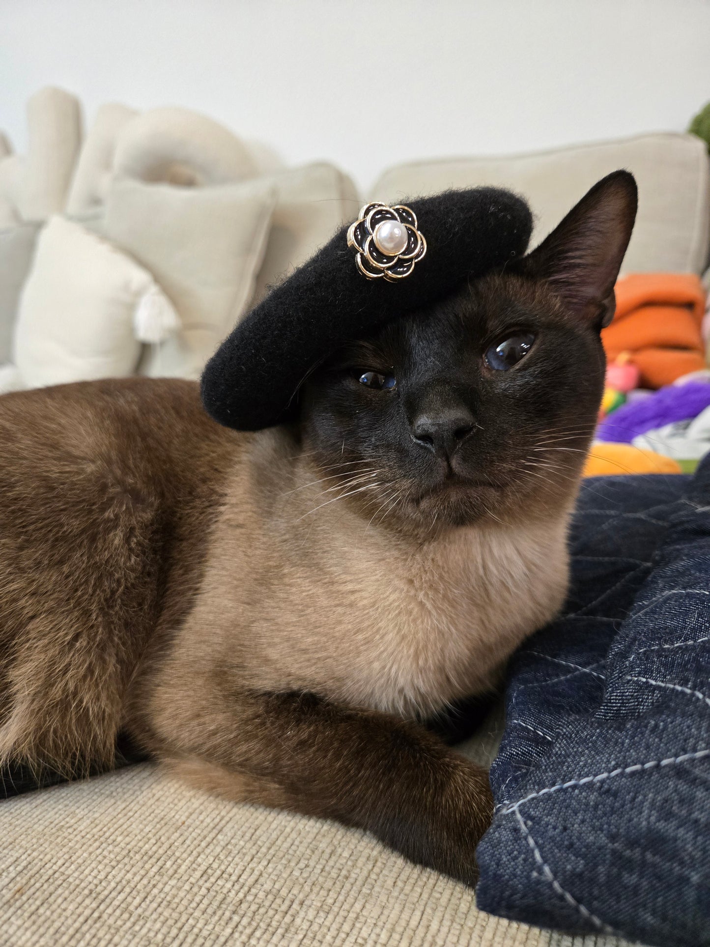 Chameowl pet beret
