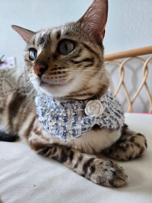 Chameowl Blue Pet Bandana (reversible 4-way wear)