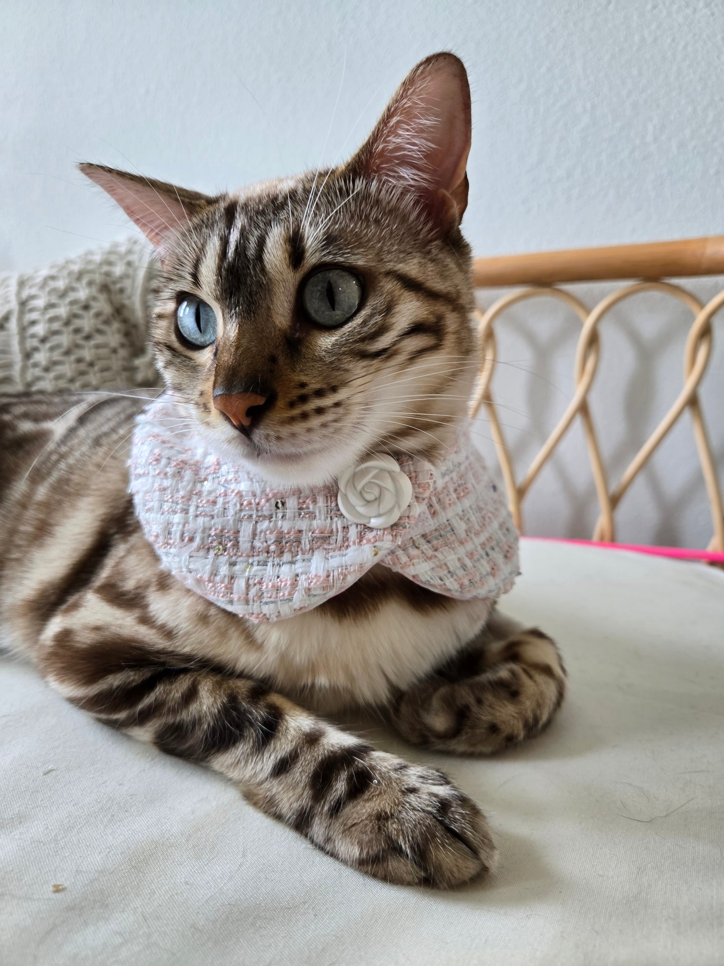 Chameowl Pink Pet Bandana (reversible 4-way wear)