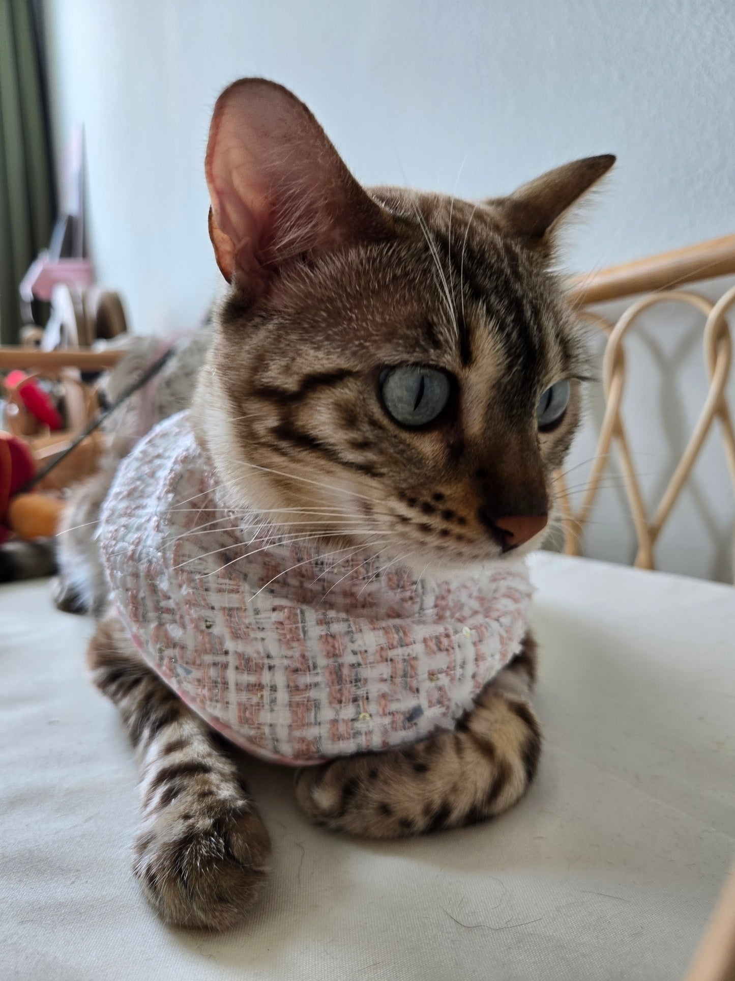 Chameowl Pink Pet Bandana (reversible 4-way wear)