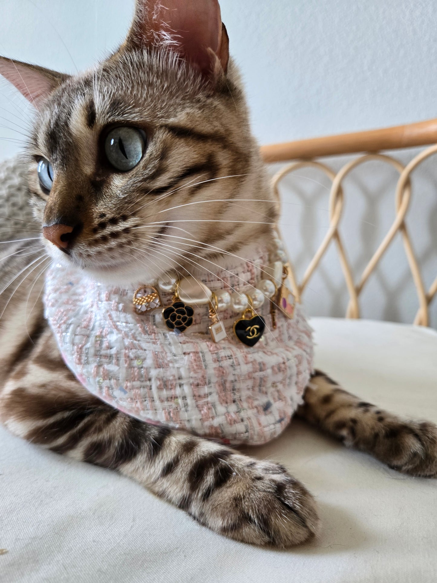 Chameowl Black Pet Necklace