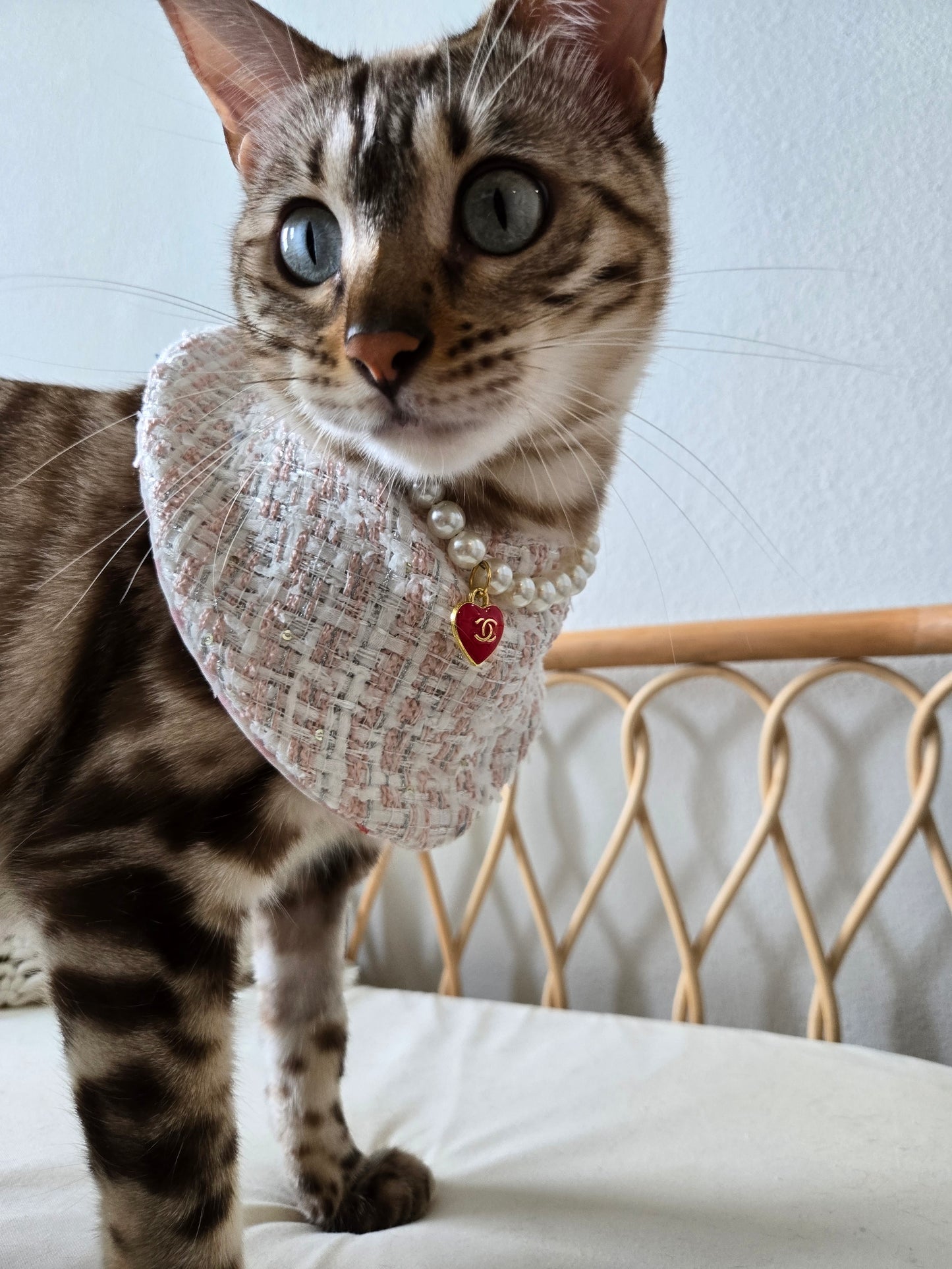 Chameowl Pink Pet Bandana (reversible 4-way wear)