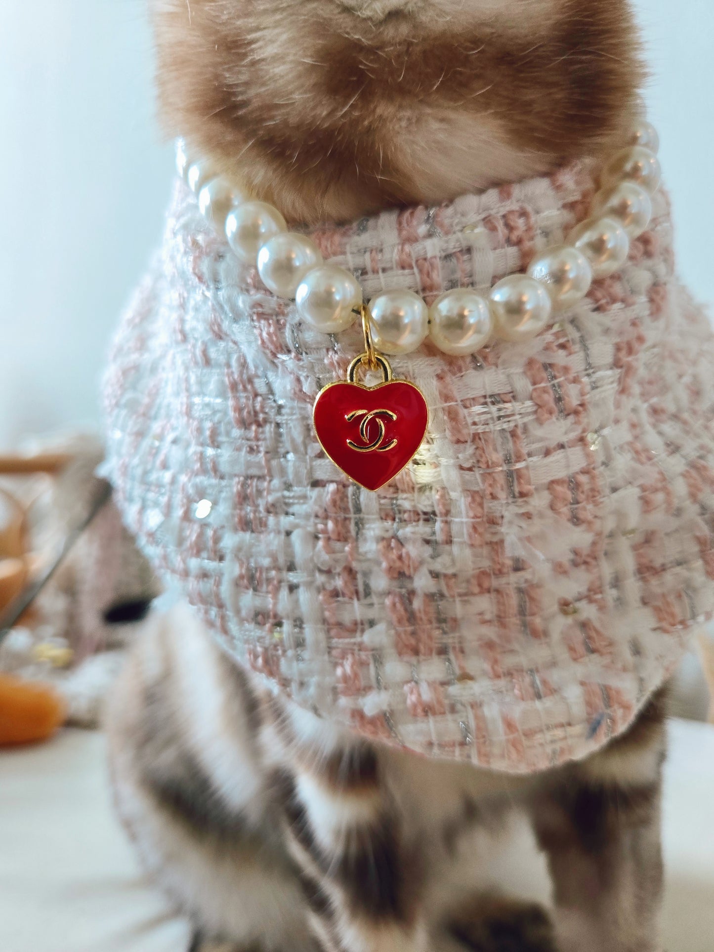 Chameowl Red Pet Necklace