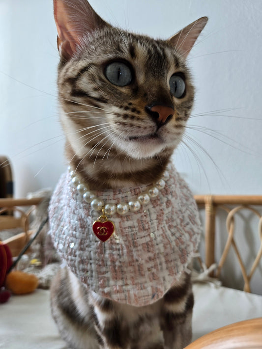 Chameowl Pink Pet Bandana (reversible 4-way wear)