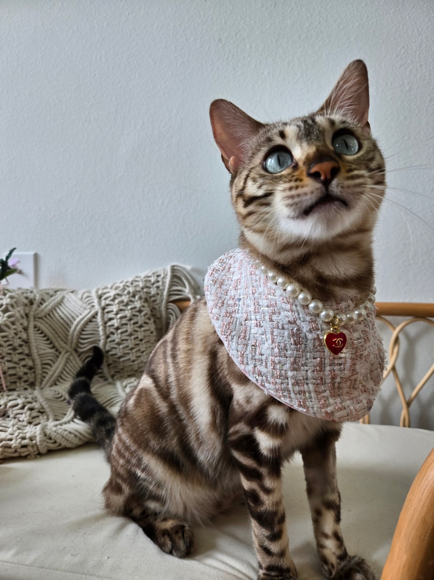 Chameowl Red Pet Necklace