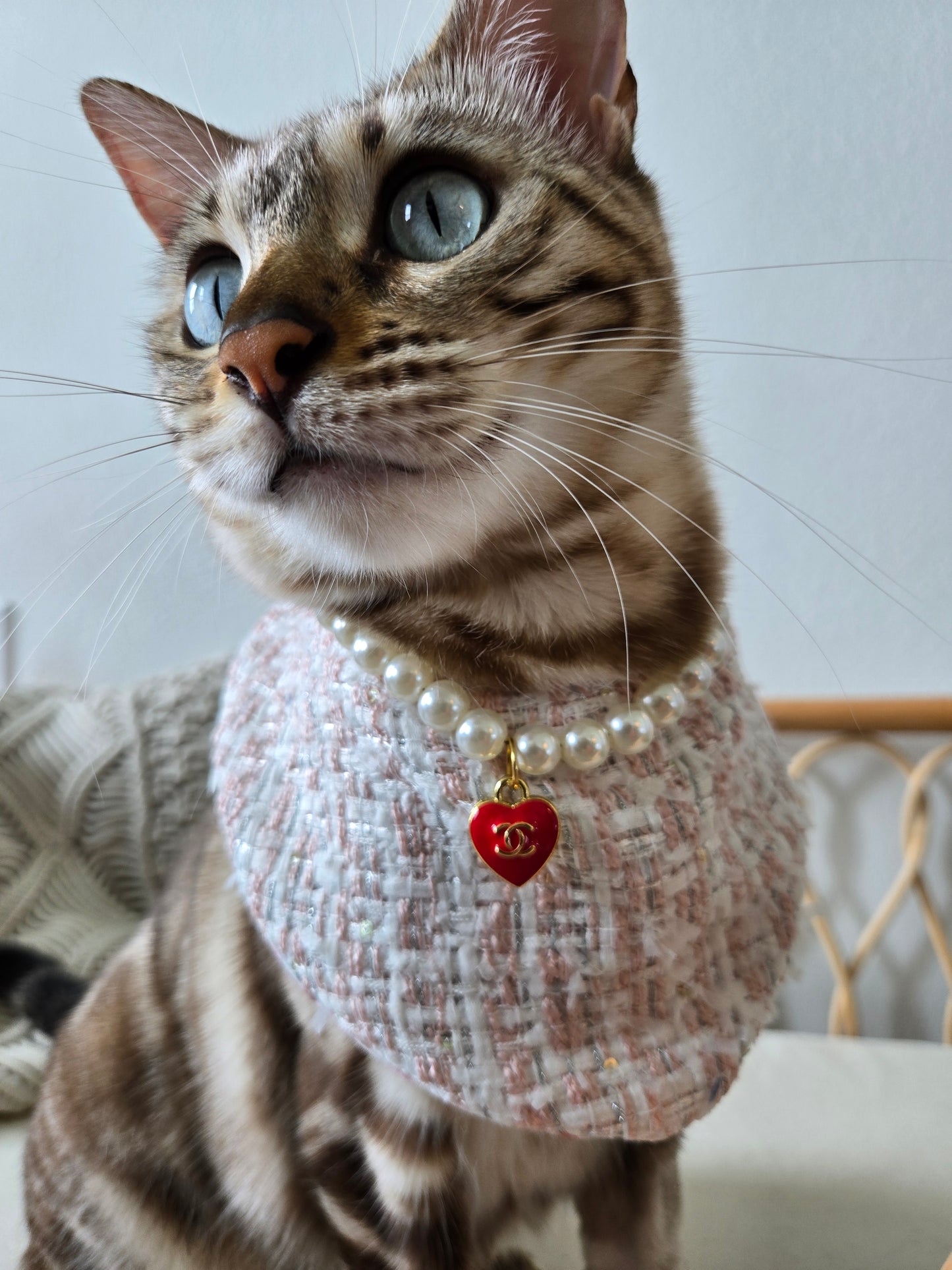 Chameowl Red Pet Necklace
