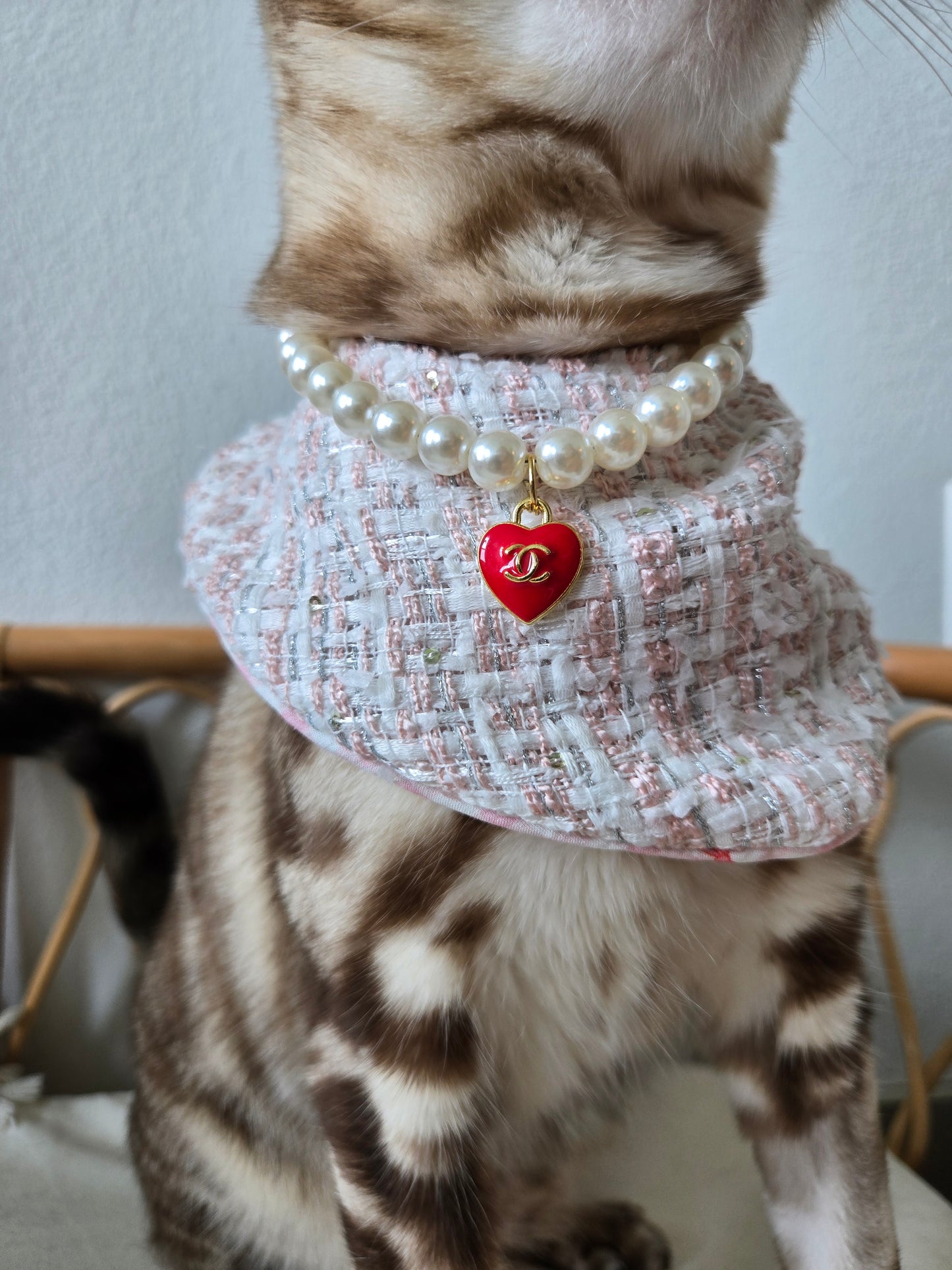 Chameowl Red Pet Necklace