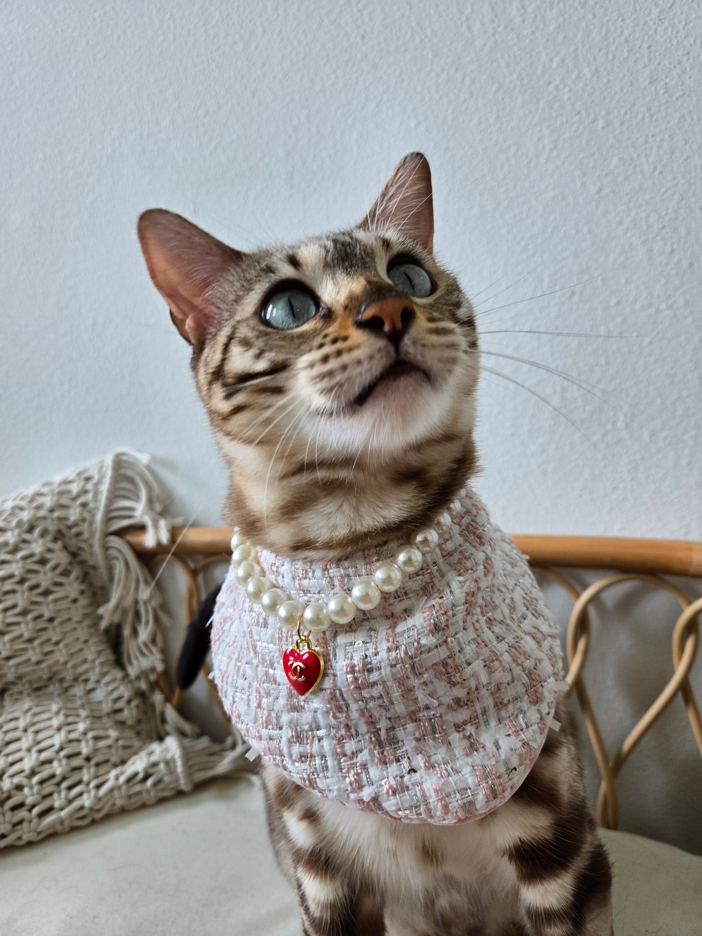 Chameowl Pink Pet Bandana (reversible 4-way wear)