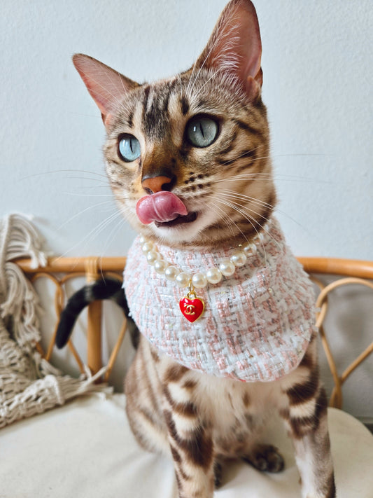 Chameowl Red Pet Necklace