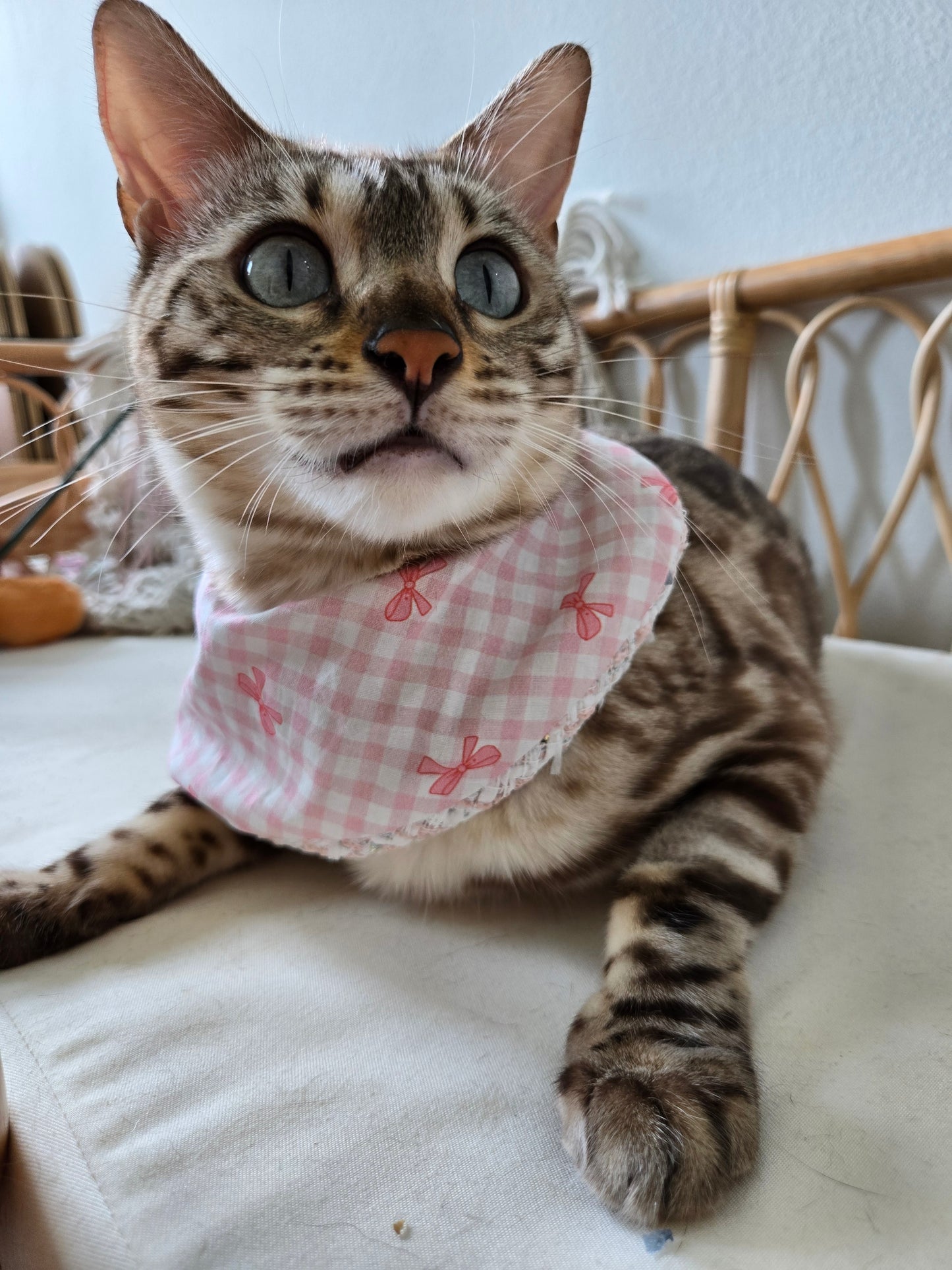 Chameowl Pink Pet Bandana (reversible 4-way wear)