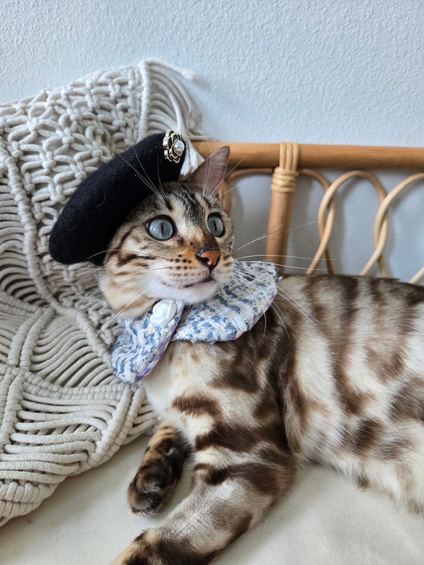 Chameowl Blue Pet Bandana (reversible 4-way wear)