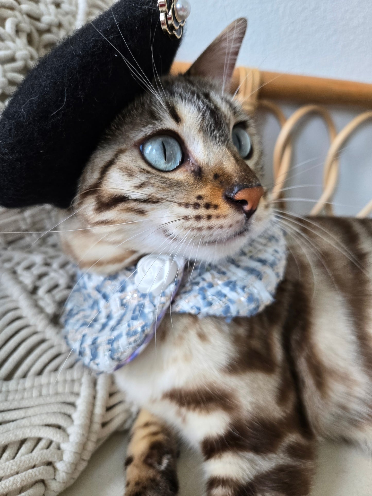 Chameowl Blue Pet Bandana (reversible 4-way wear)