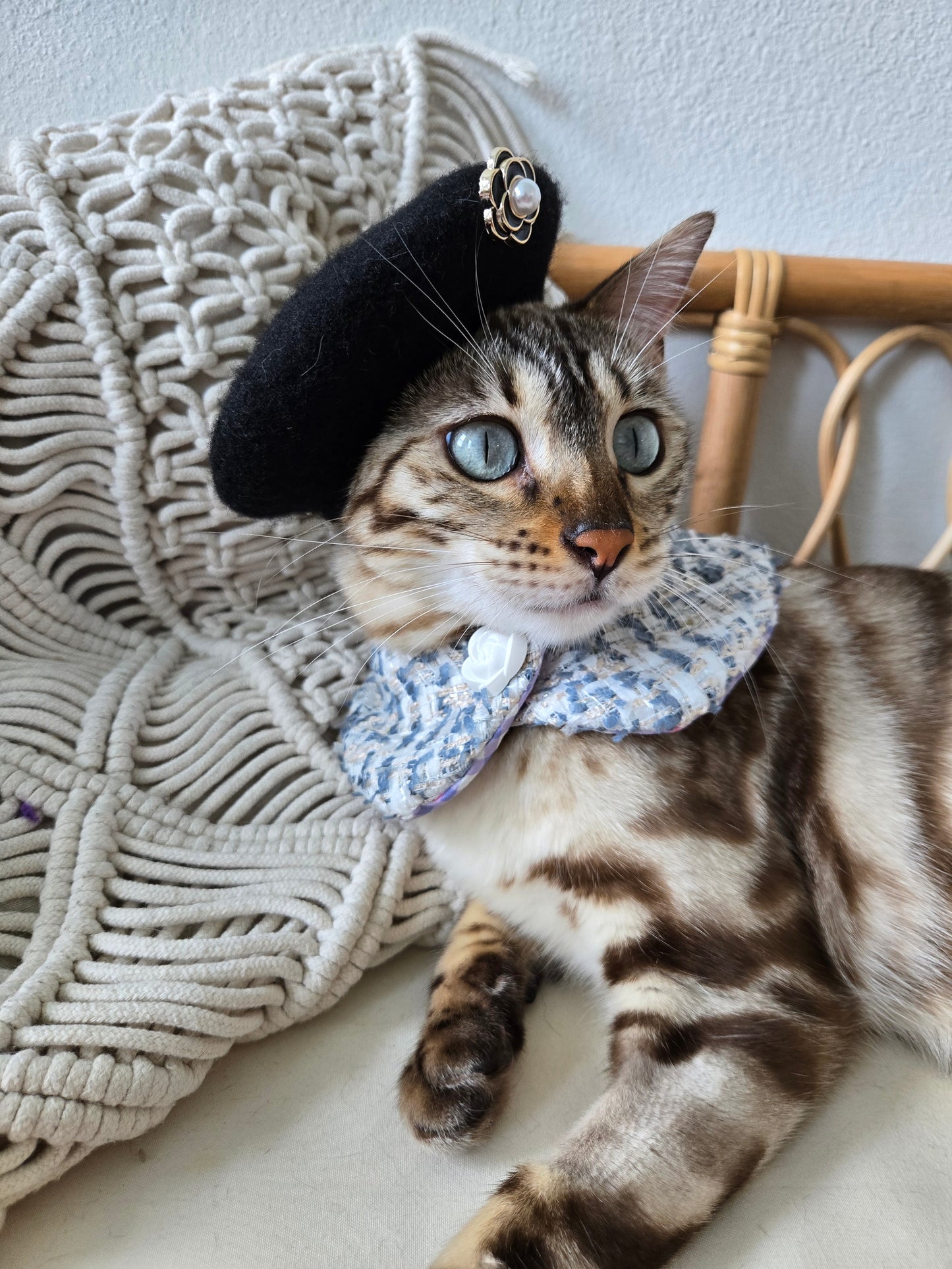 Chameowl pet beret