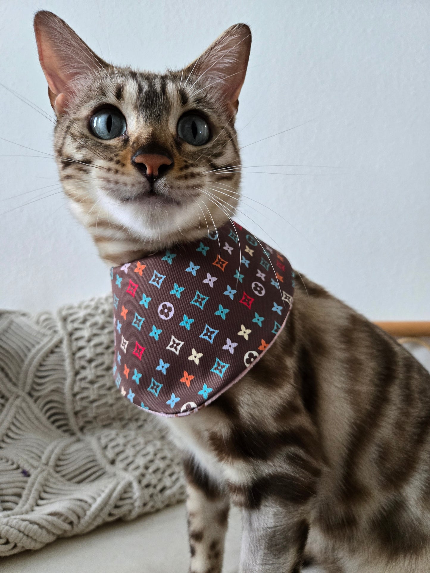 Louis Meowton Pet Bandana (reversible 4-way wear)