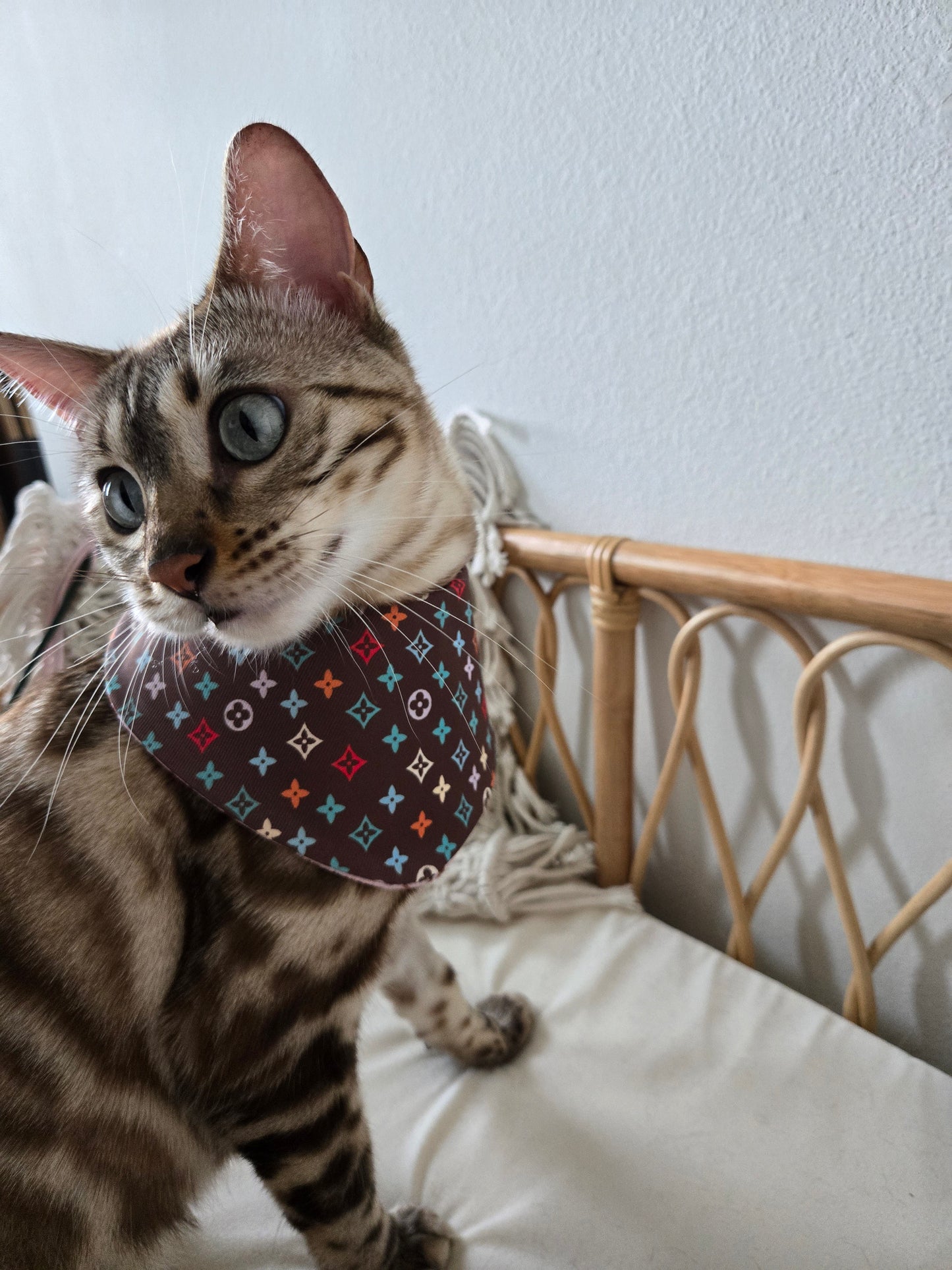Louis Meowton Pet Bandana (reversible 4-way wear)