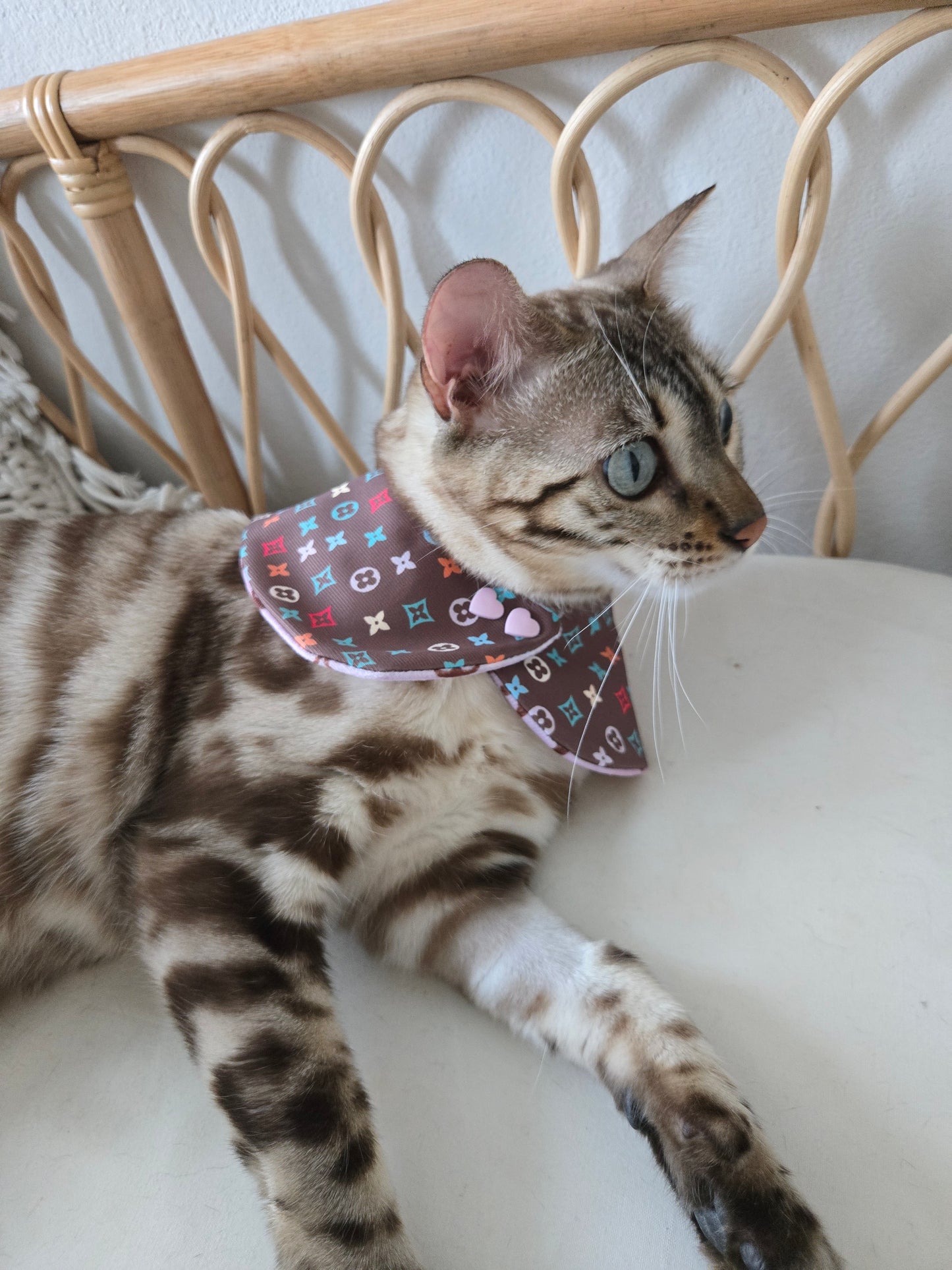 Louis Meowton Pet Bandana (reversible 4-way wear)