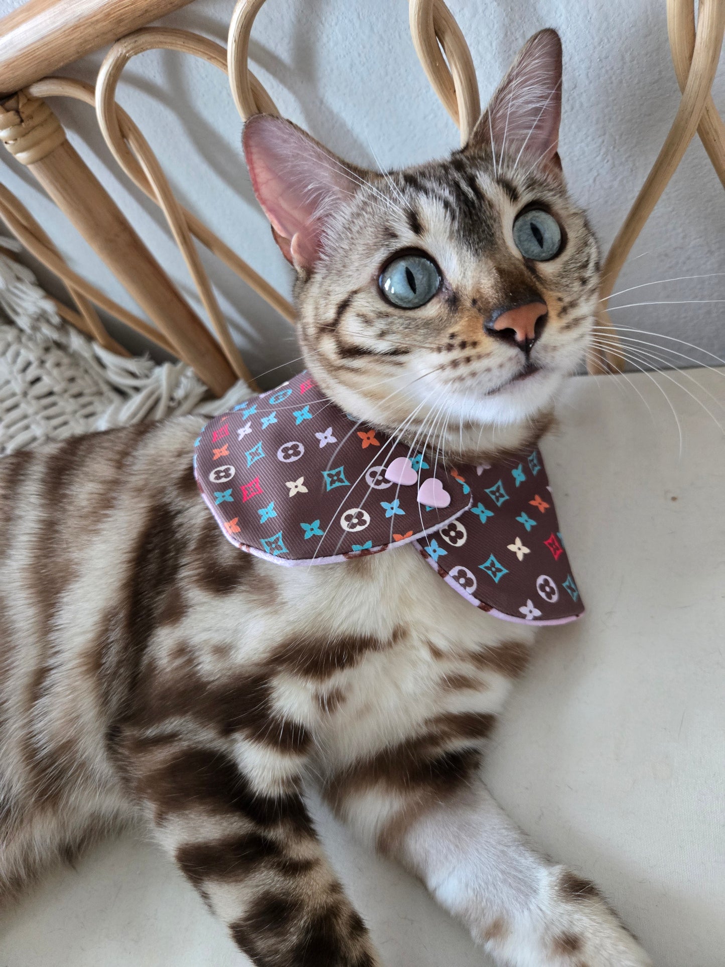Louis Meowton Pet Bandana (reversible 4-way wear)