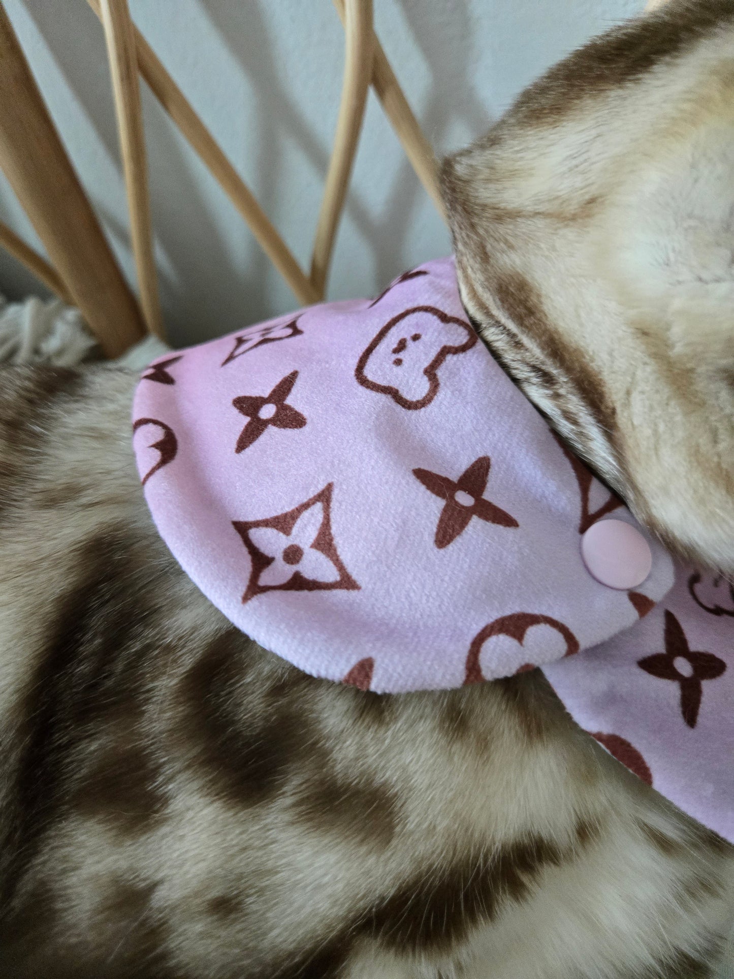 Louis Meowton Pet Bandana (reversible 4-way wear)