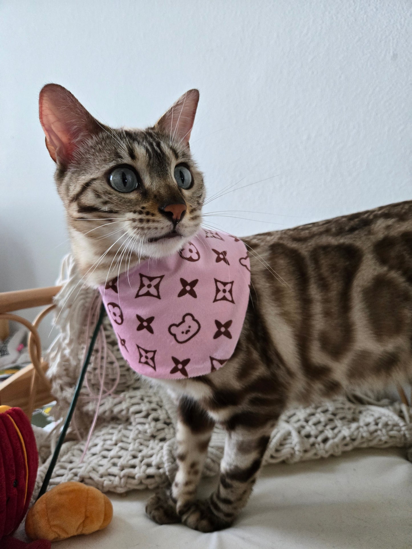 Louis Meowton Pet Bandana (reversible 4-way wear)