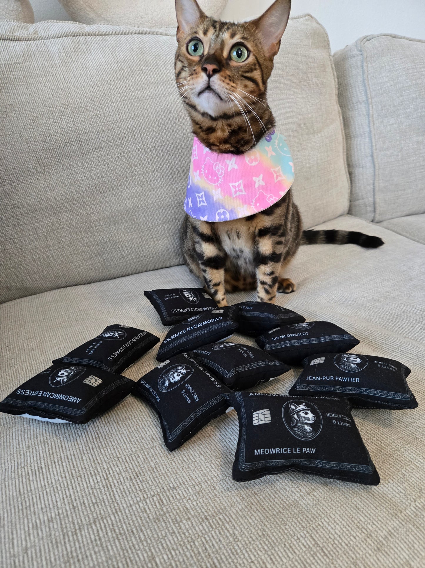 Louis Kitty Pet Bandana (reversible 4-way wear)