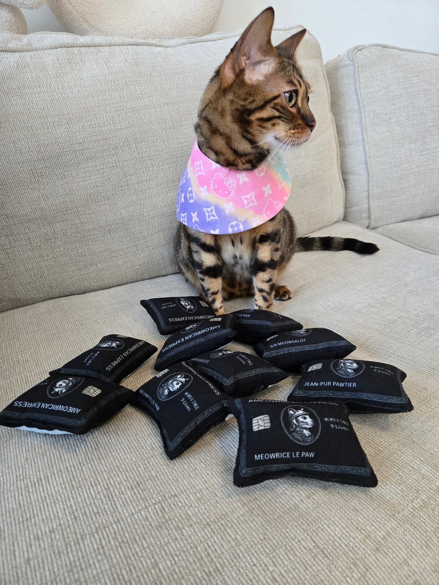 Louis Kitty Pet Bandana (reversible 4-way wear)
