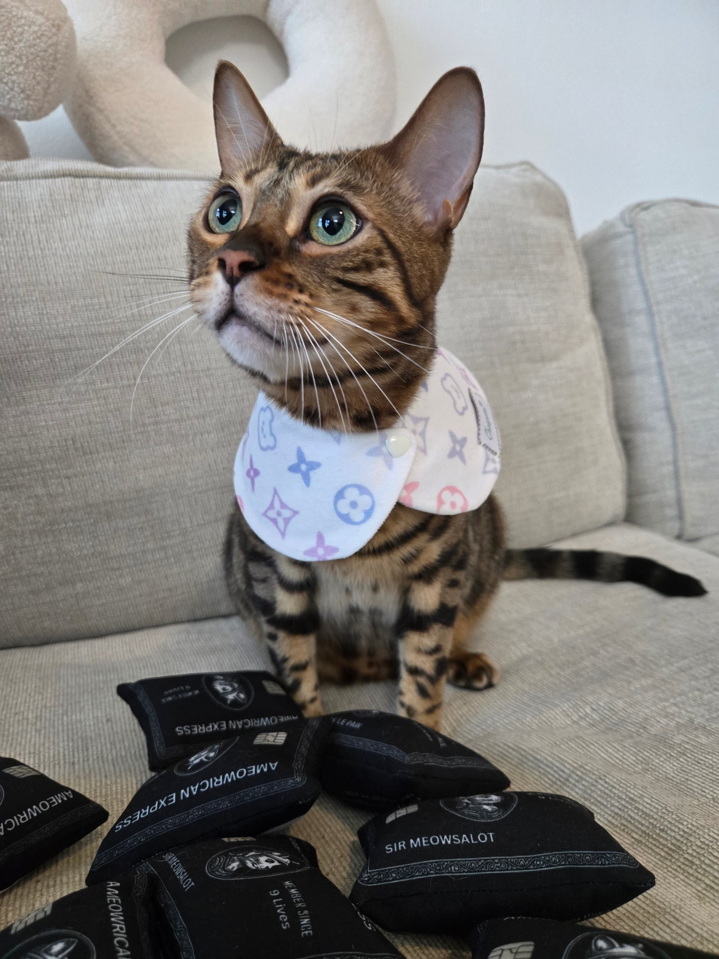 Louis Kitty Pet Bandana (reversible 4-way wear)