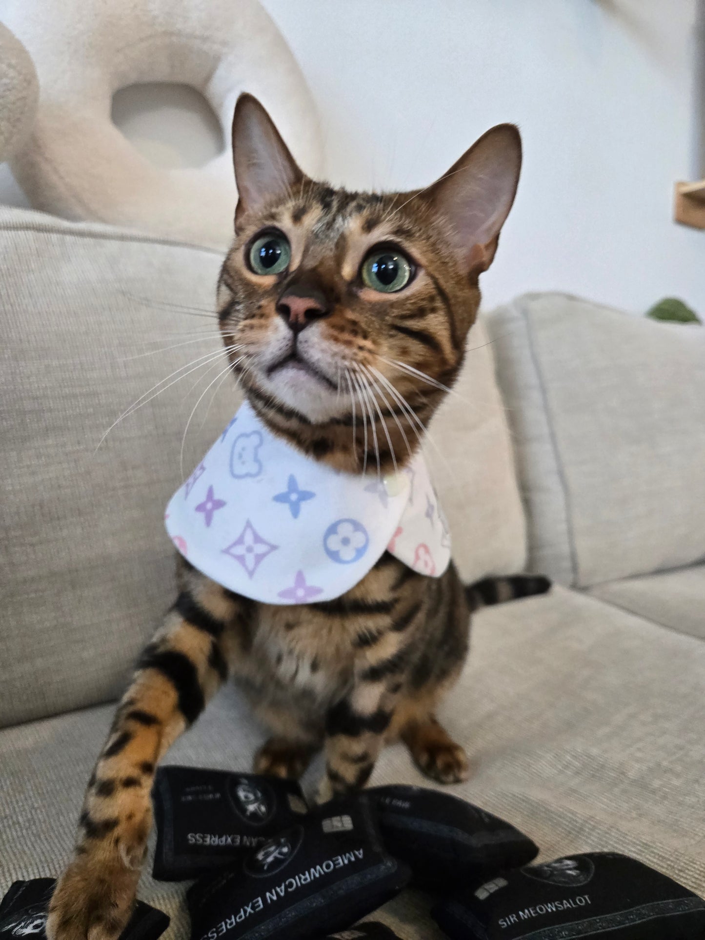 Louis Kitty Pet Bandana (reversible 4-way wear)