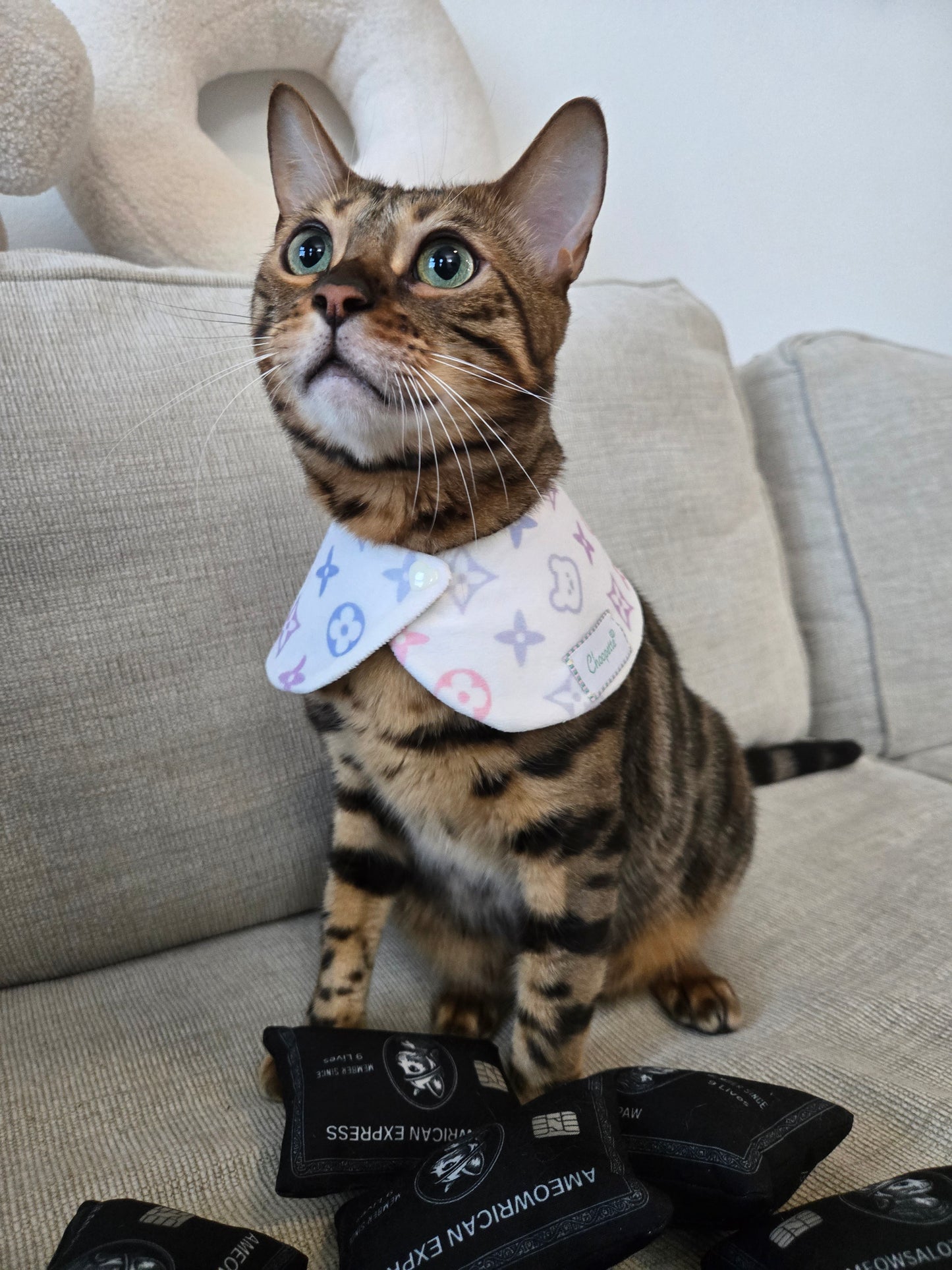 Louis Kitty Pet Bandana (reversible 4-way wear)