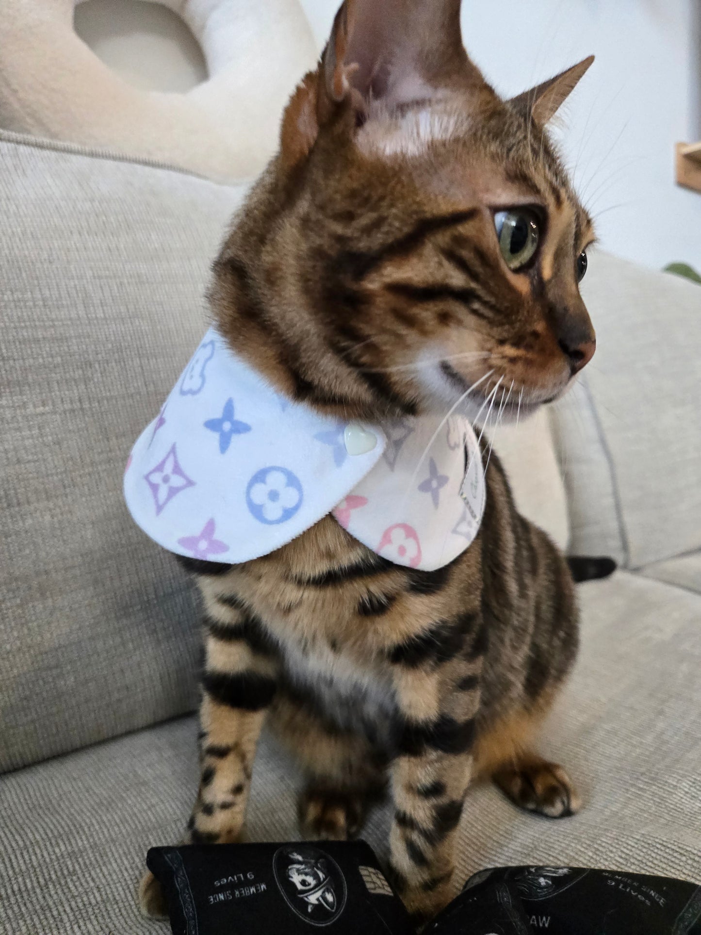 Louis Kitty Pet Bandana (reversible 4-way wear)
