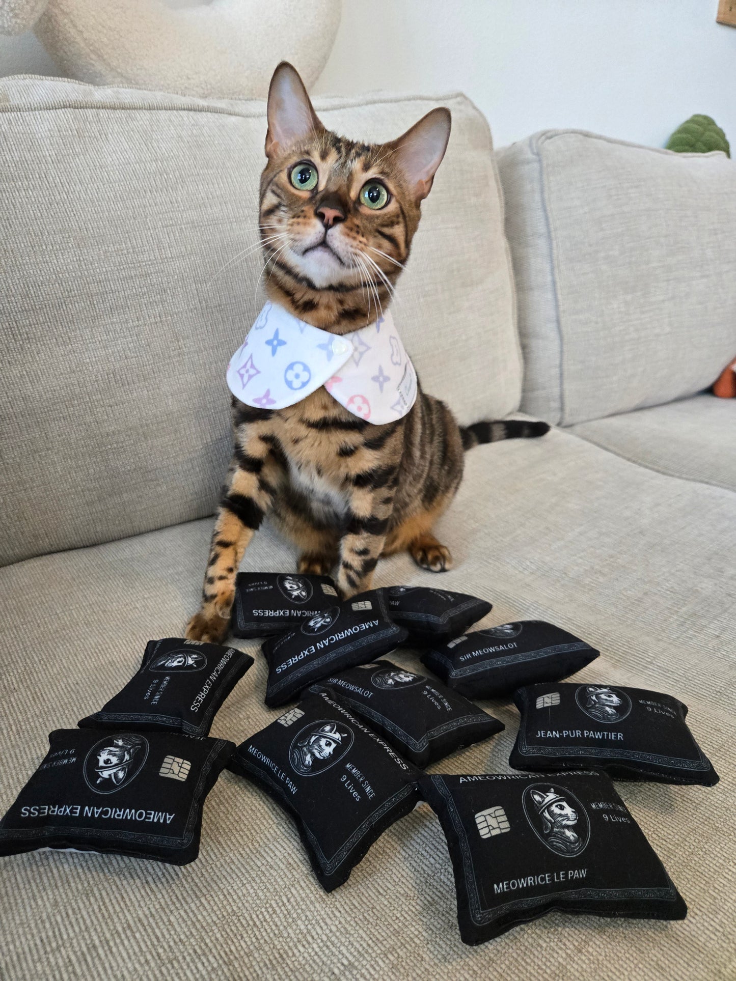 Louis Kitty Pet Bandana (reversible 4-way wear)