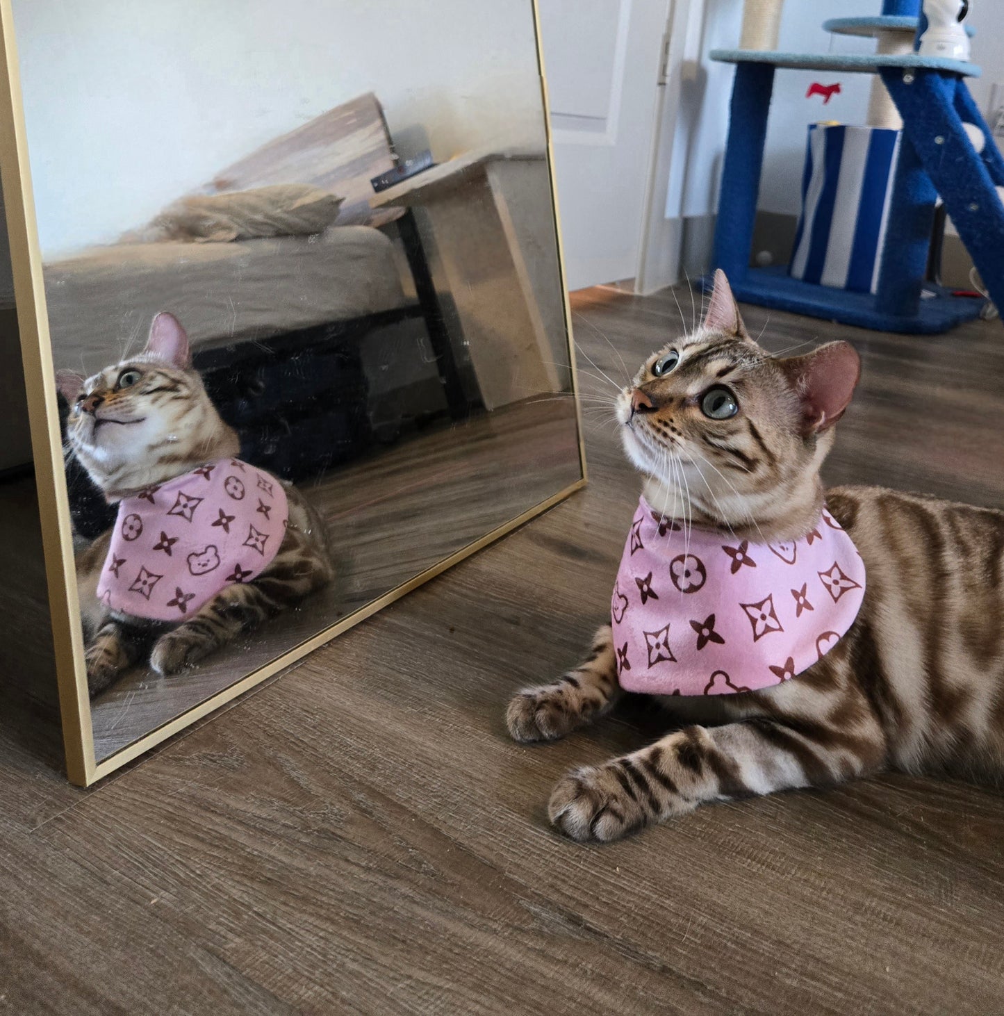 Louis Meowton Pet Bandana (reversible 4-way wear)