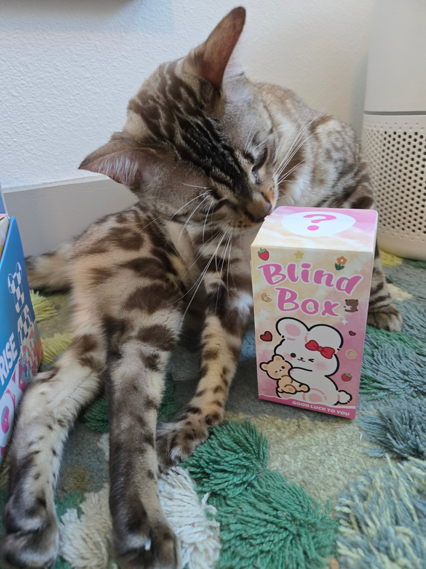 La Meow Meow Blind Box Catnip Toy