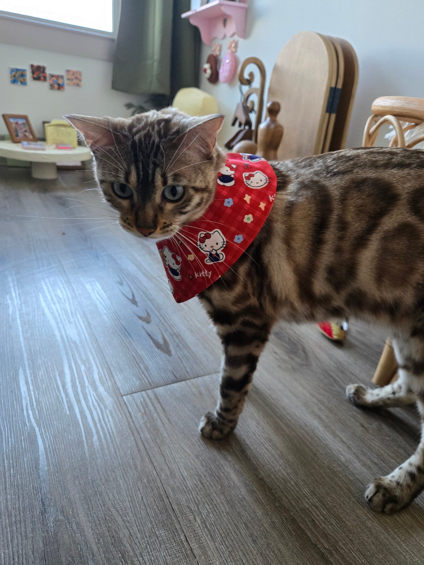 Picnic in Bloom Pet Bandana (reversible 4-way wear)