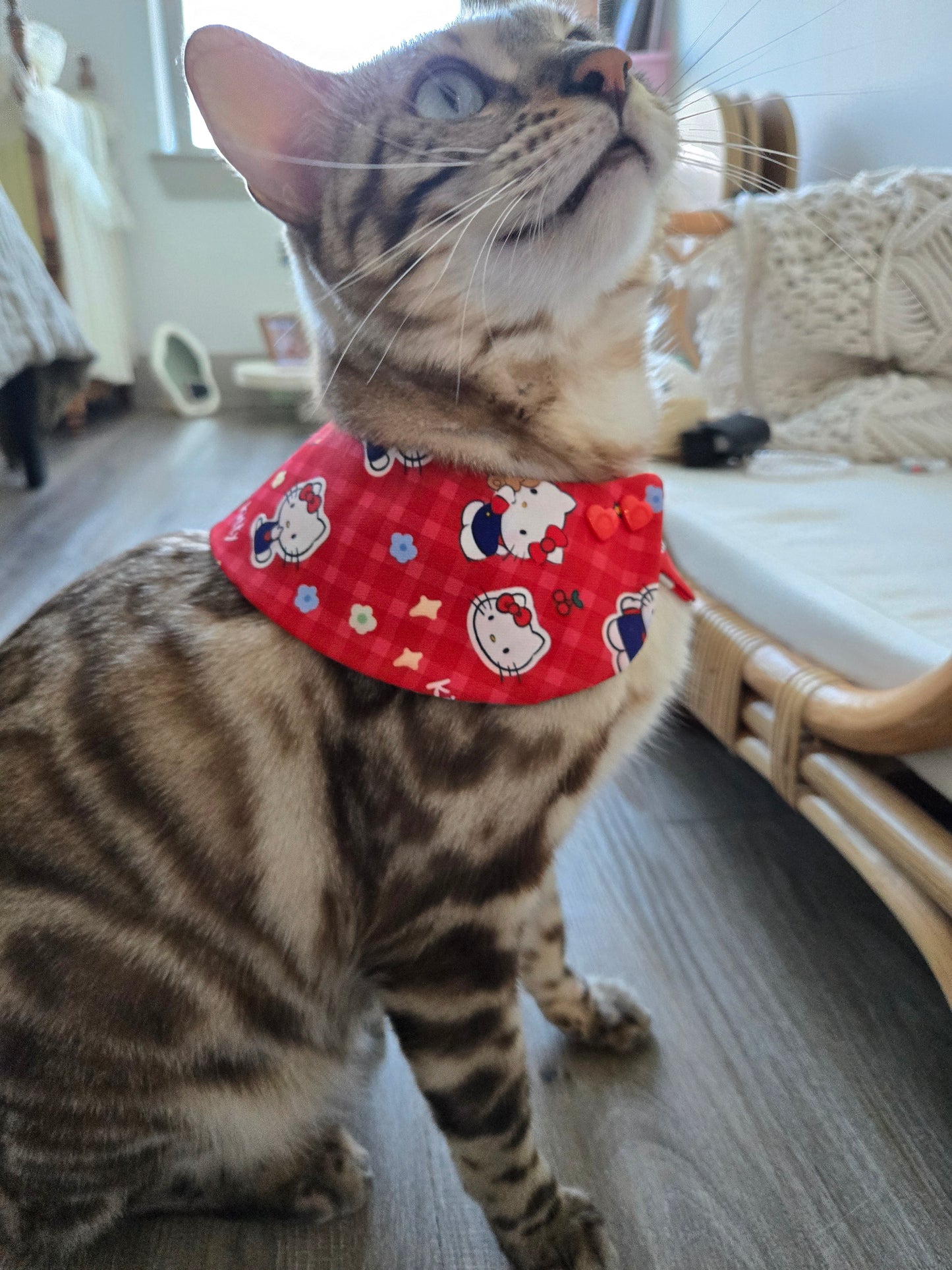 Picnic in Bloom Pet Bandana (reversible 4-way wear)
